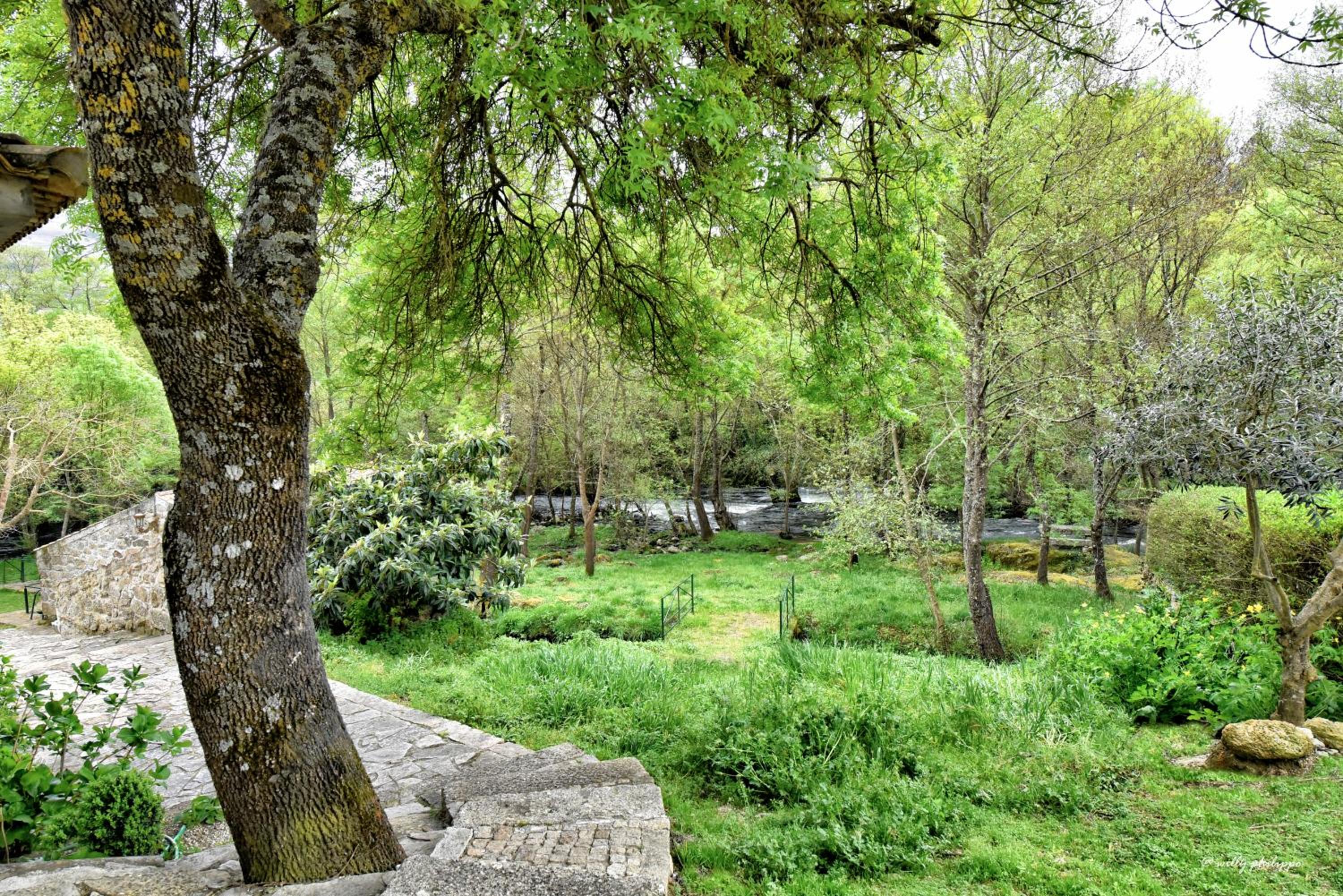 Quinta Do Moinho Turismo de Natureza