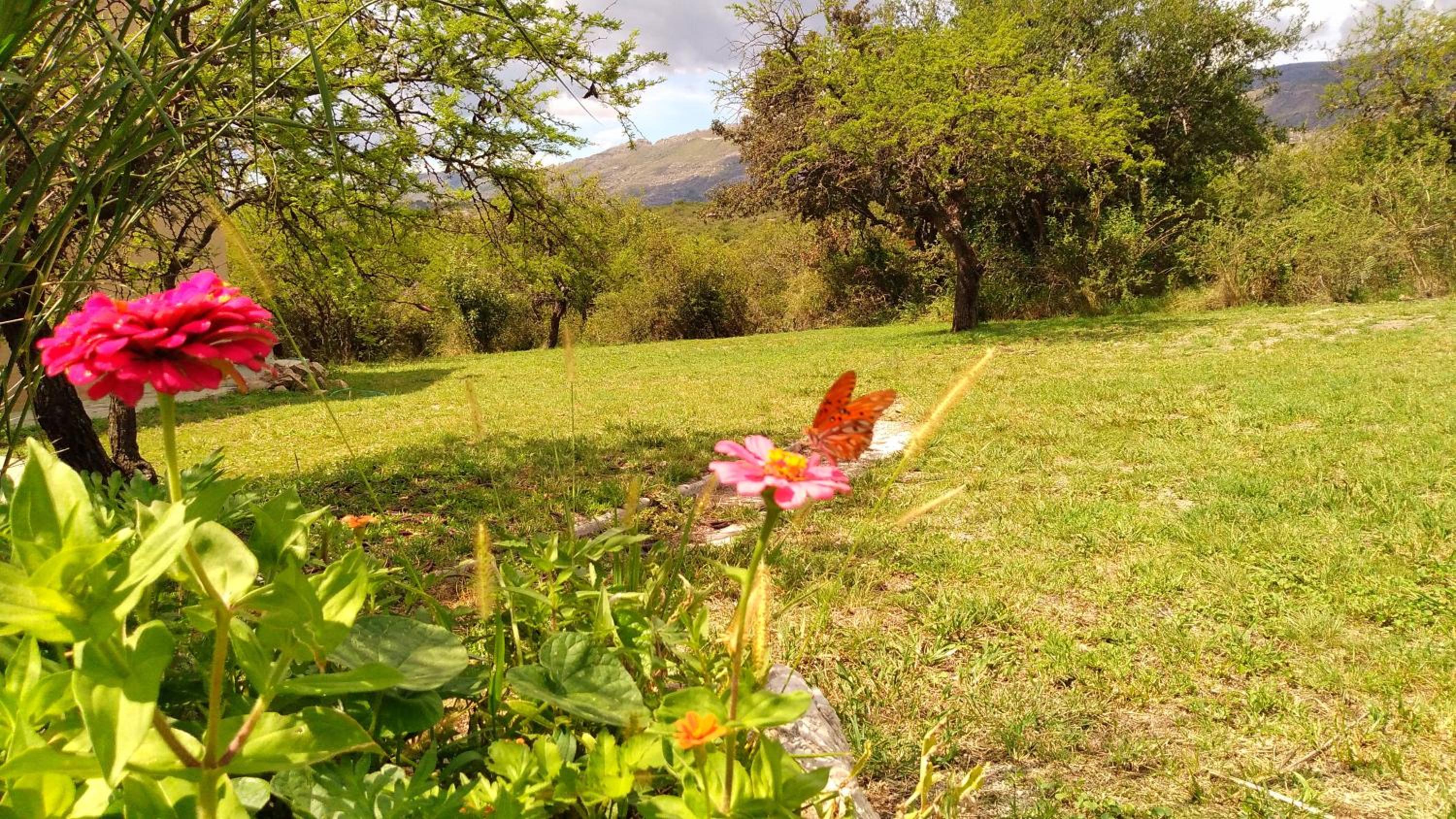 Al Encuentro Casas de Montaña