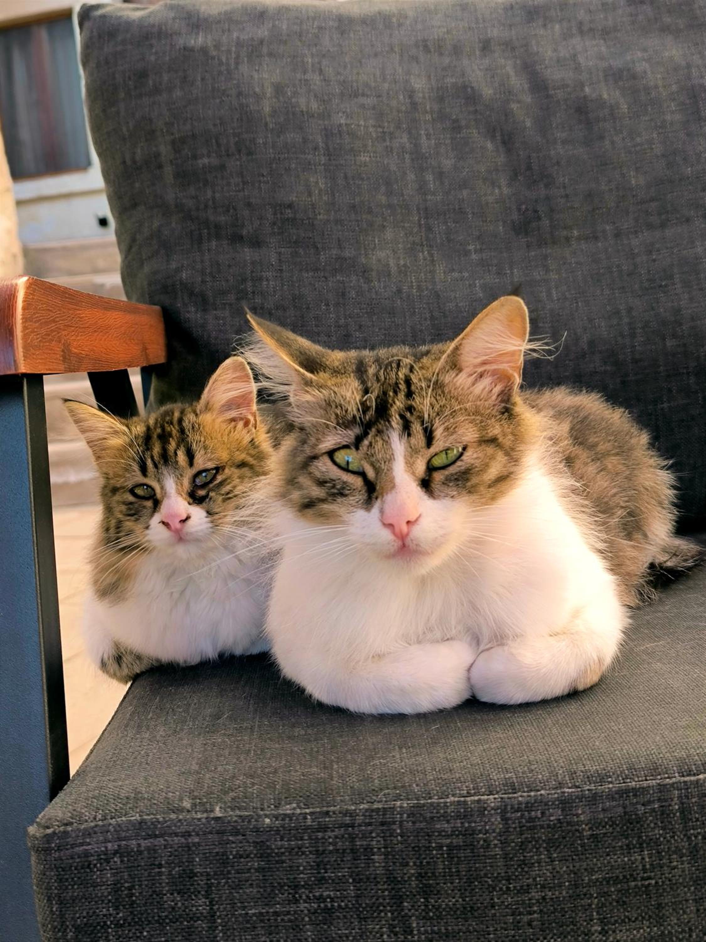 Karadut Cave Hotel - Image 64