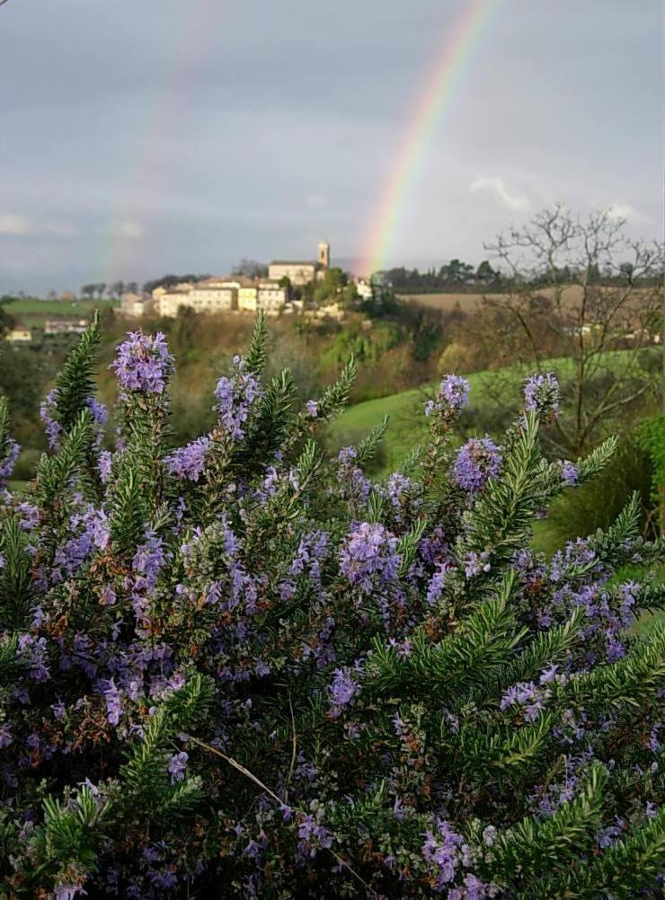 Ca'Priola view 5