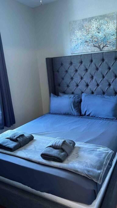 Vashay's Lovely vacation pad at Disney
