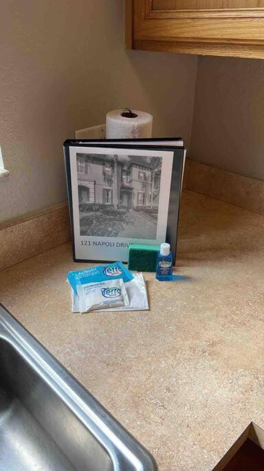 Vashay's Lovely vacation pad at Disney