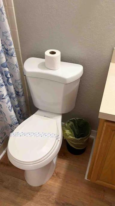 Vashay's Lovely vacation pad at Disney