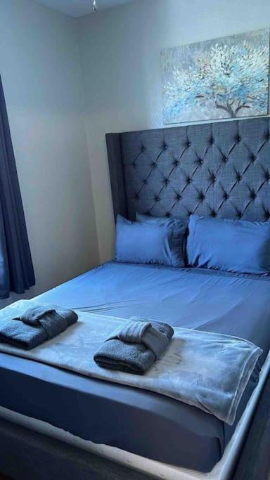 Vashay's Lovely vacation pad at Disney