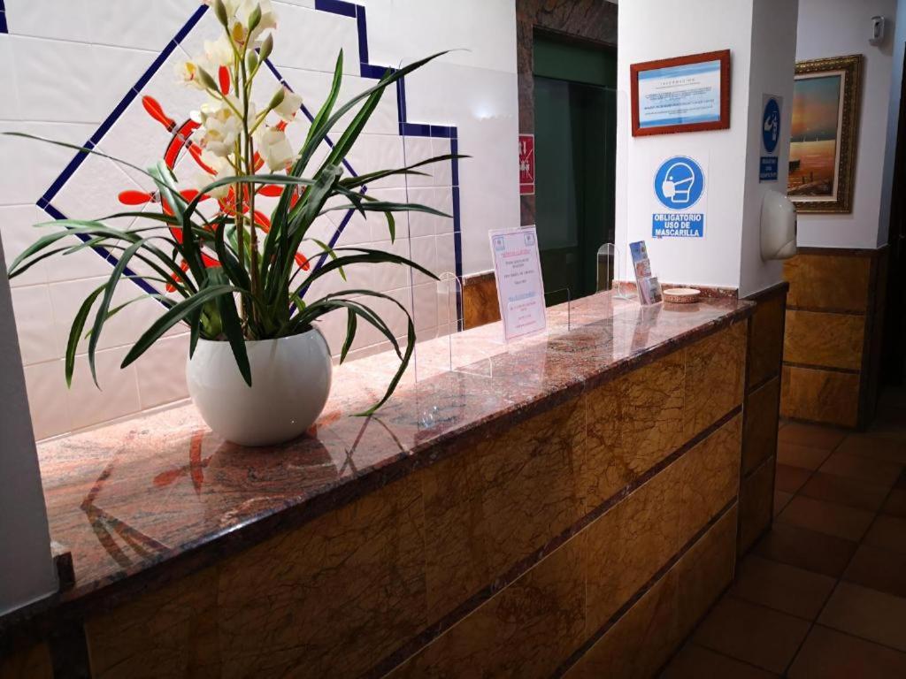 Apartamentos Leonor Carihuela photo 2