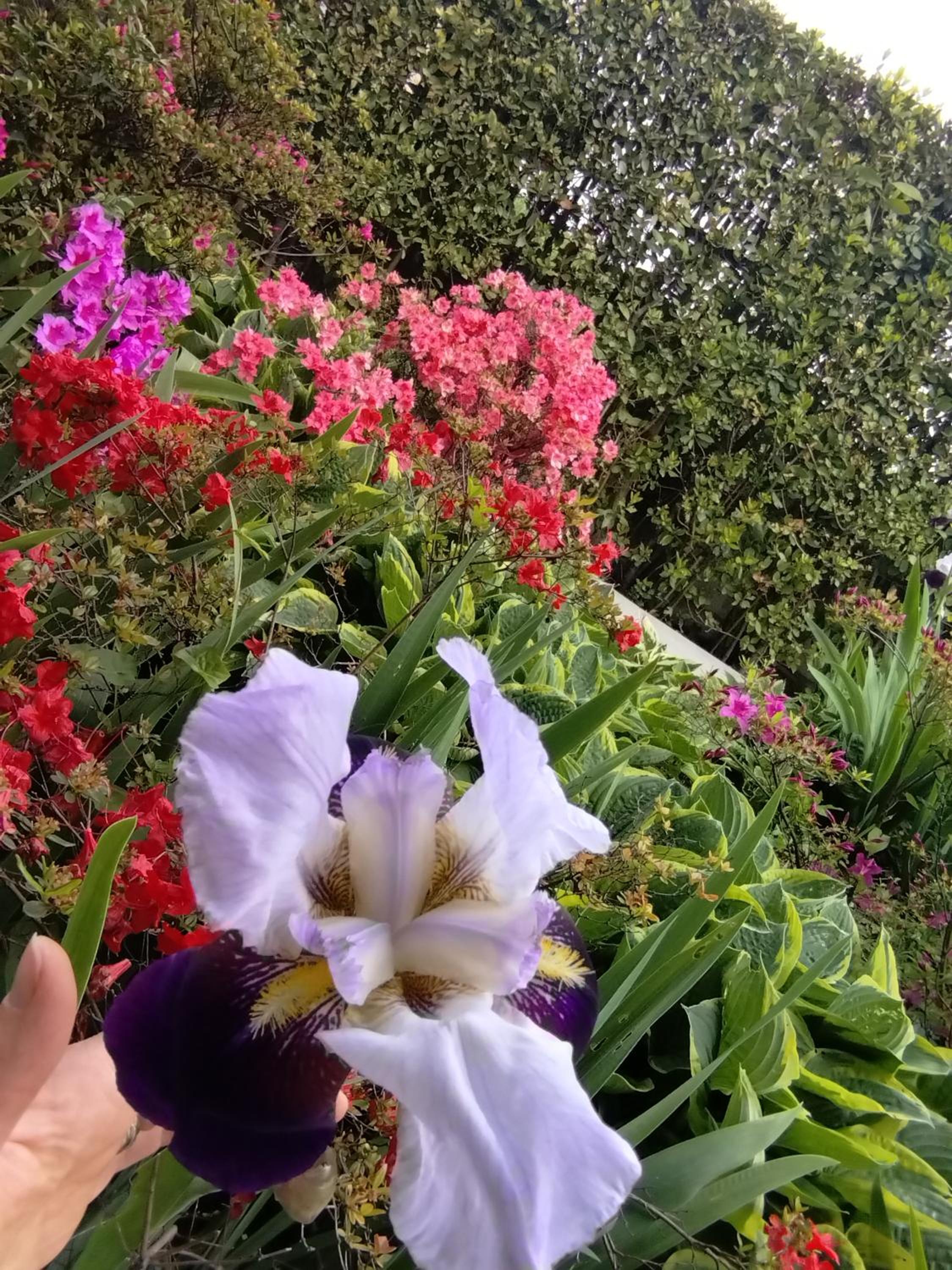 Villa Vescovado appartamento in casa vacanza