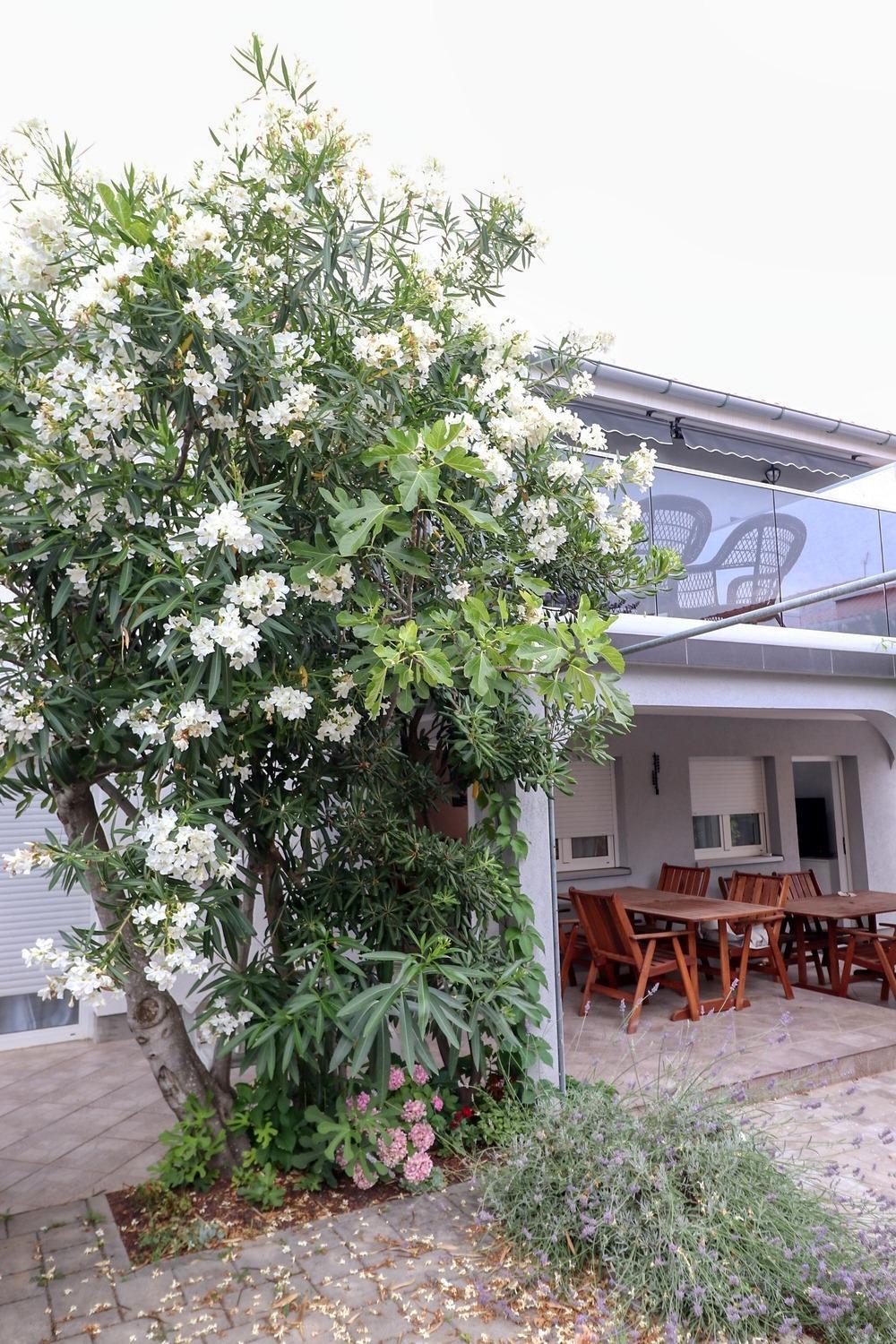 Apartments Rocky Vir