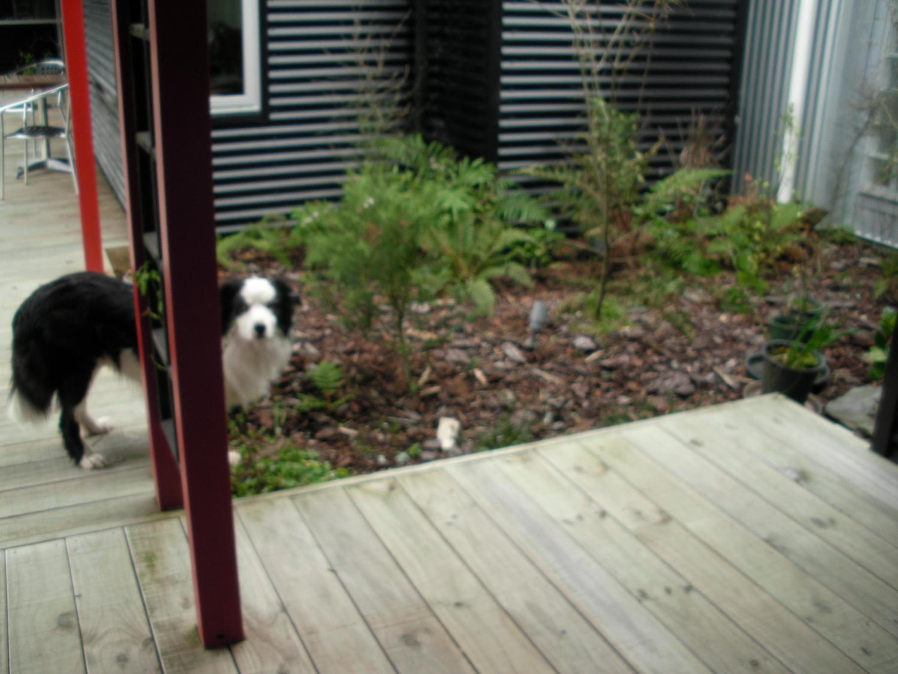 Photo 16