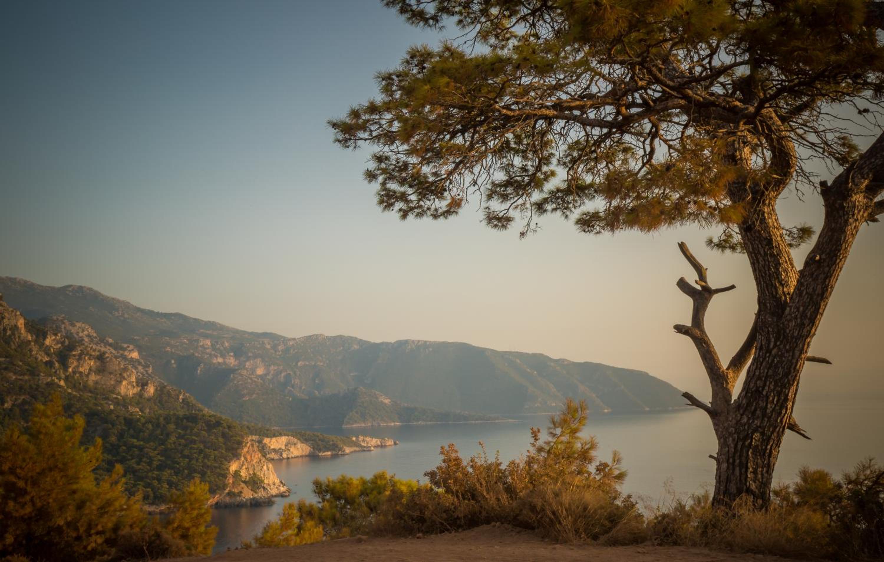 Kabak Avalon Bungalows