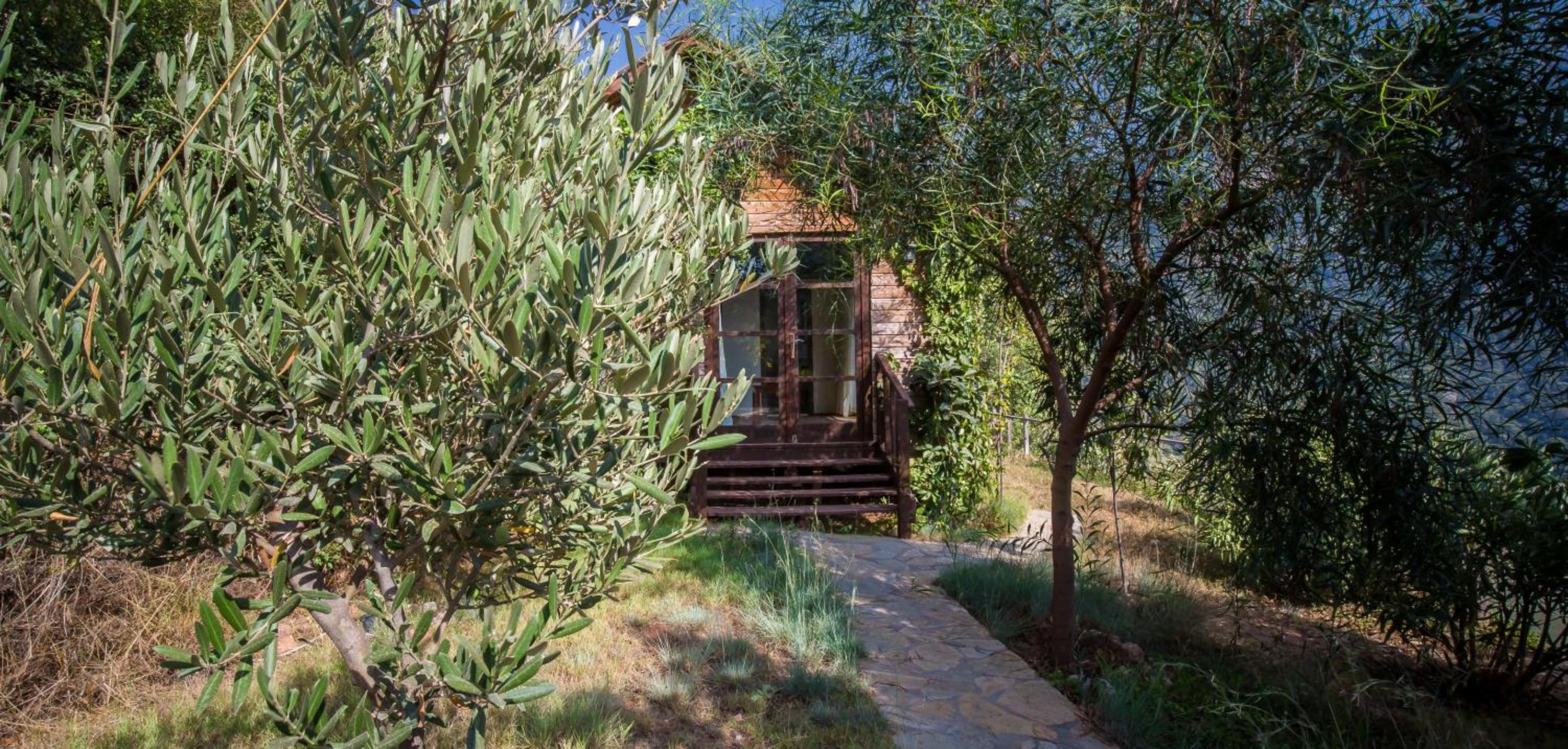 Kabak Avalon Bungalows