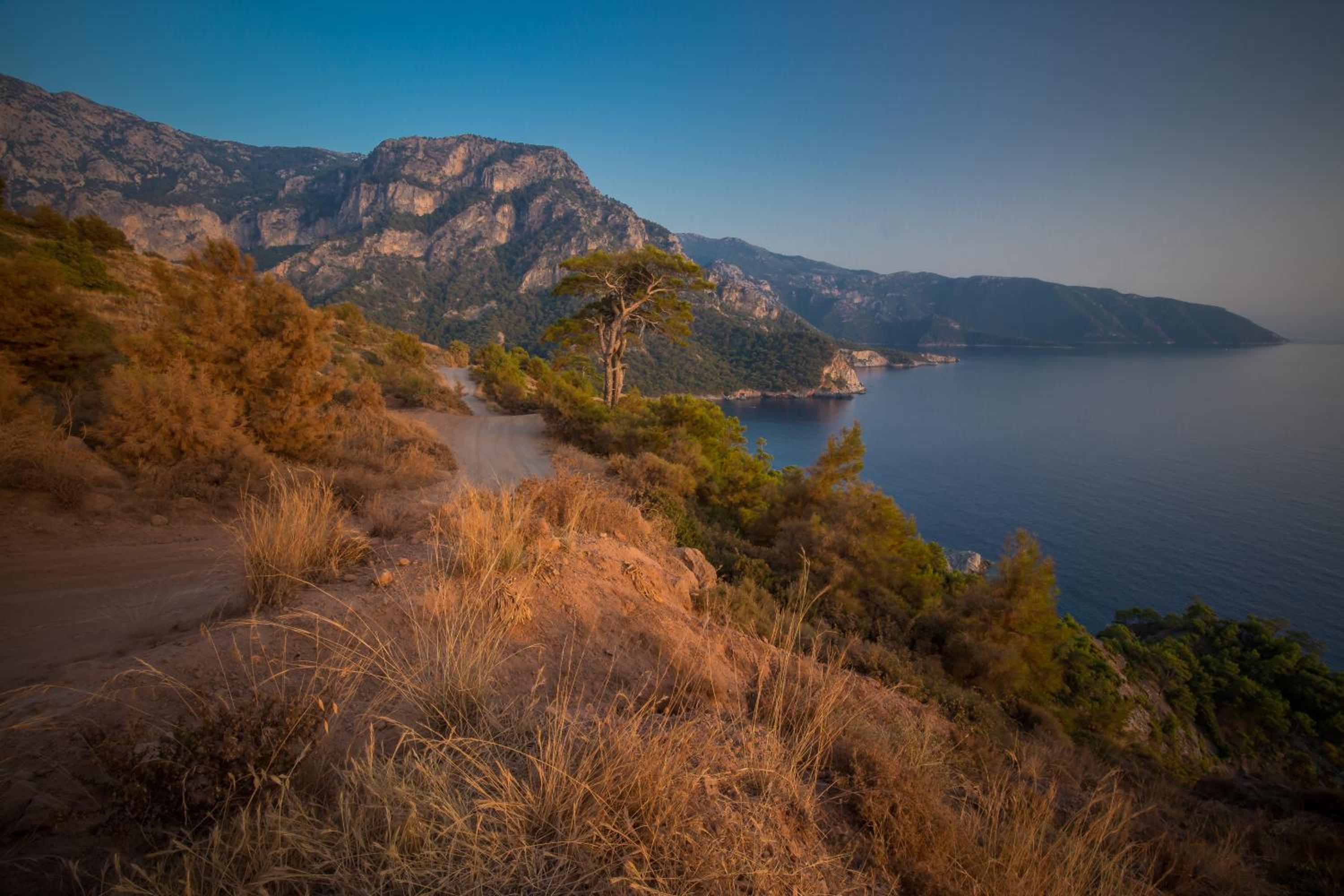 Kabak Avalon Bungalows