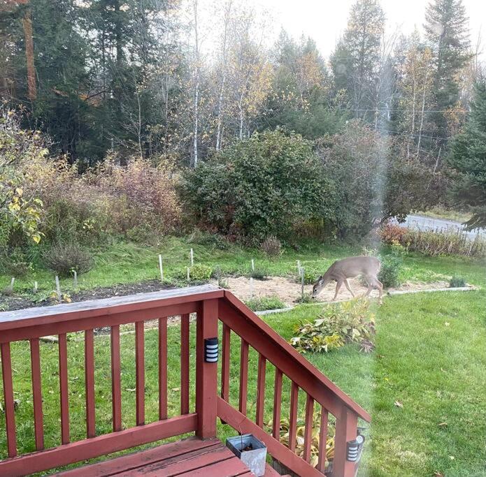 Le Highwater - Cabin