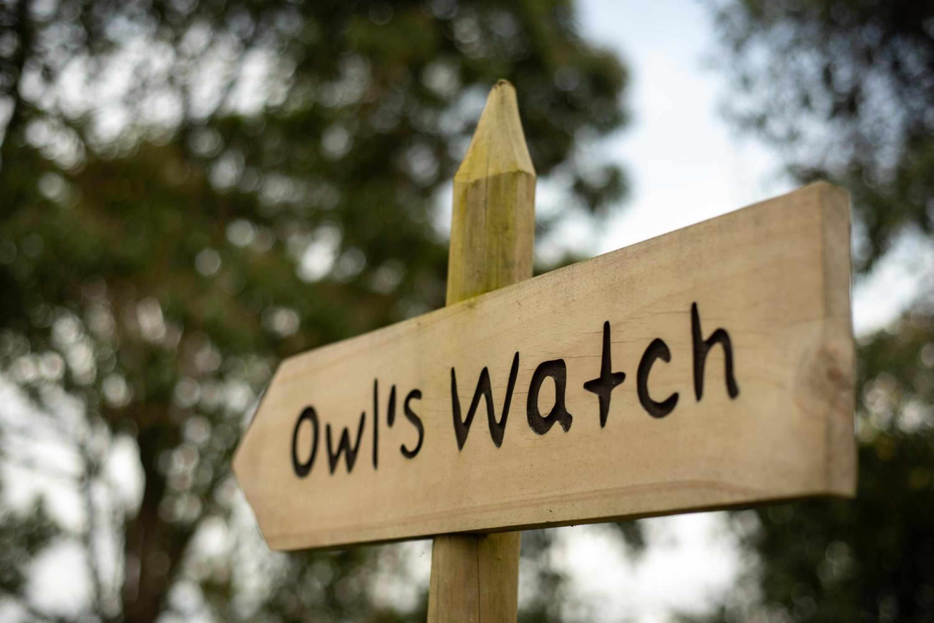 Owl's Watch at Rio Blanco