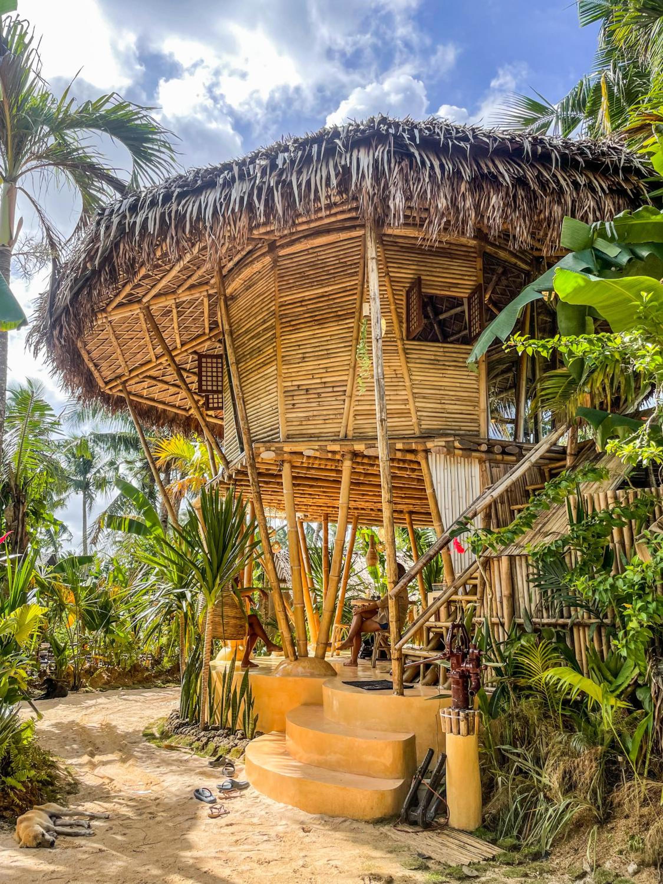 The Bamboo Houses - Tropical Gardens & Nature view 3