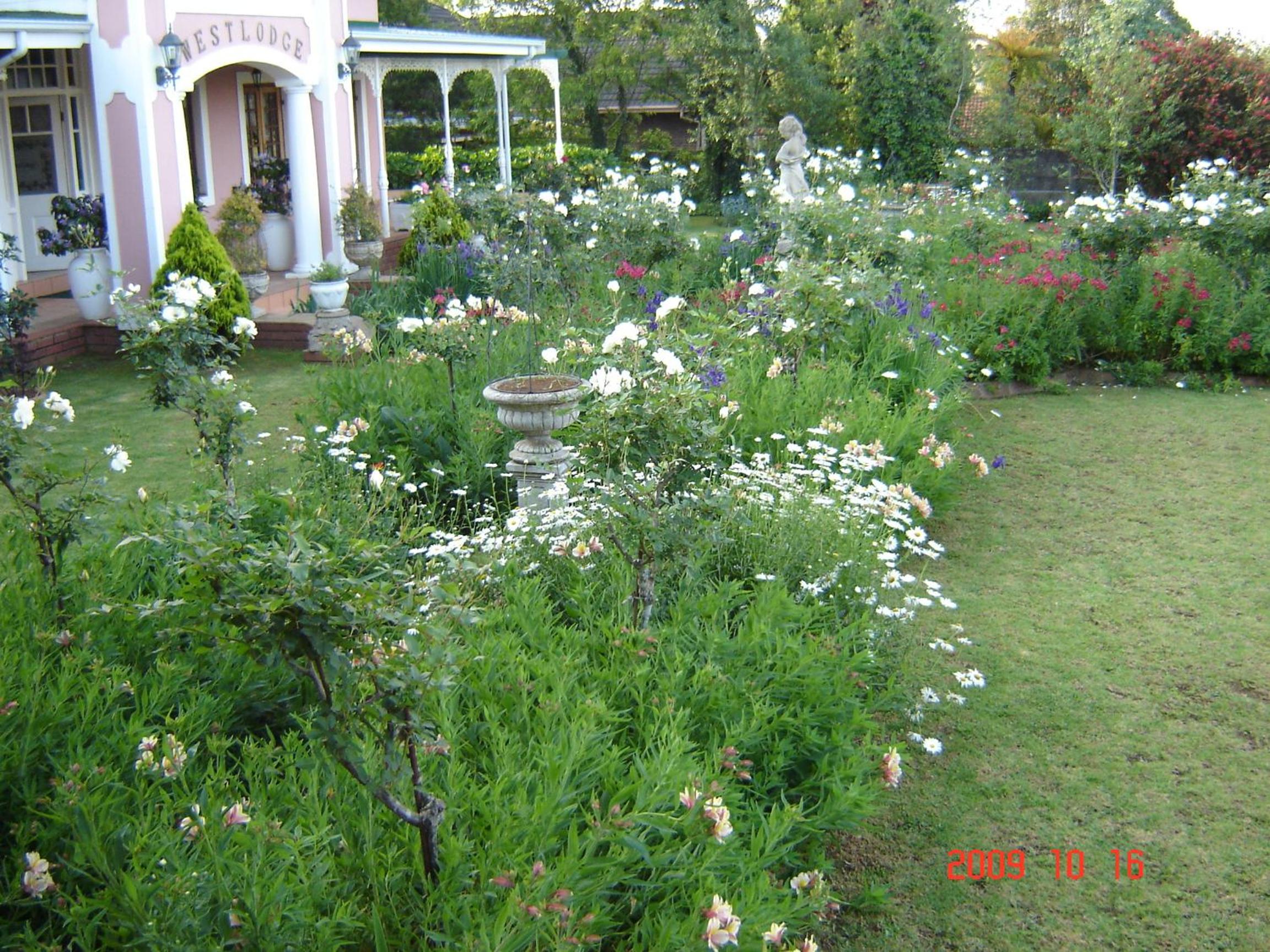 Westlodge at Graskop B&B