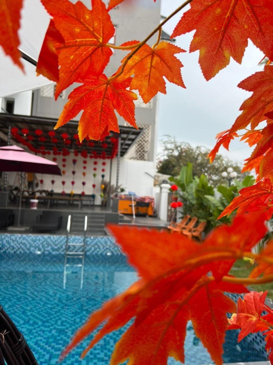 Căn Villa 9 Ngủ Vip Trung tâm Bãi Cháy view 3