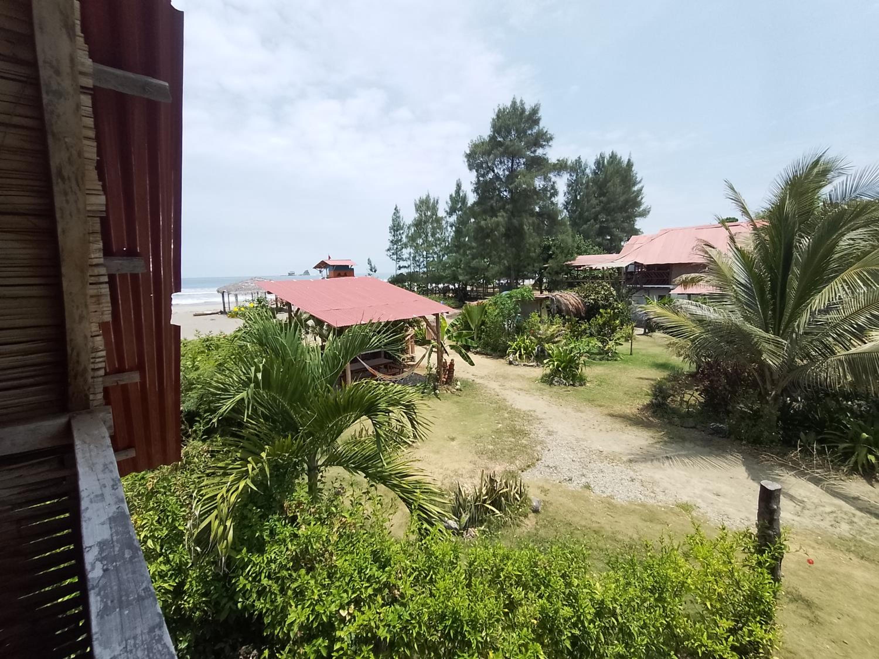 Hotel Palma Coco