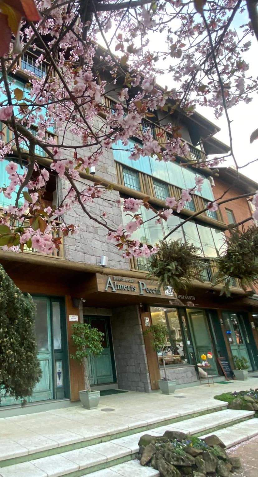 LUXUOSO APT ALMERIS PECCIN no Centro de GRAMADO