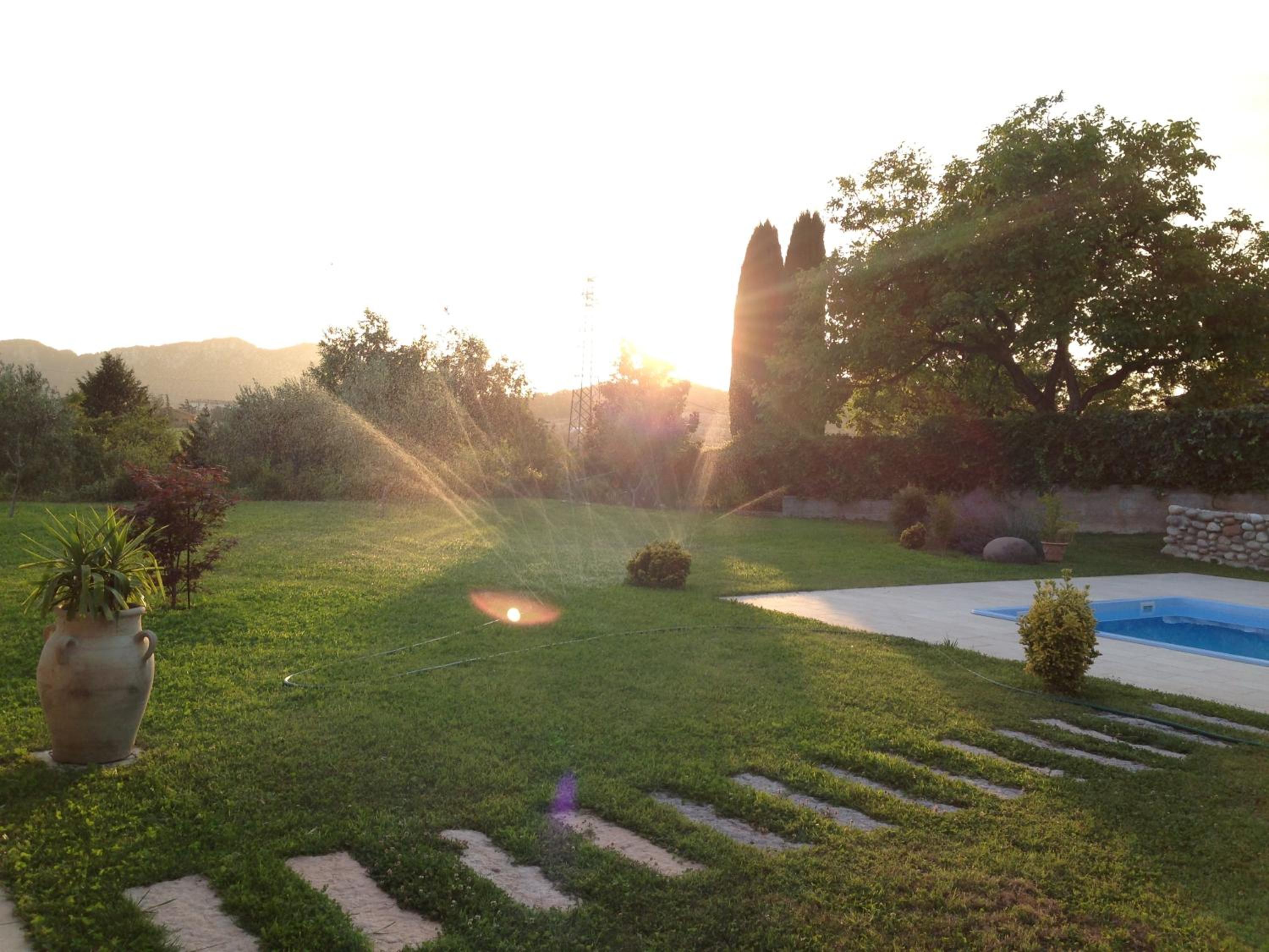 Photo 43