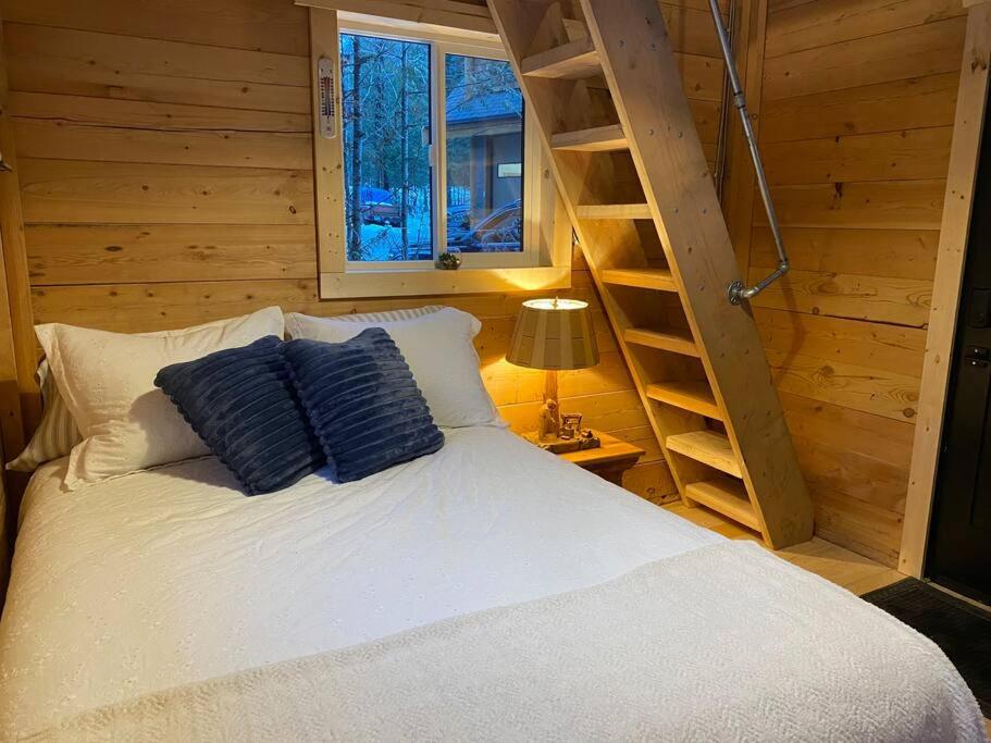 Ski-In Chalet: Private Hot tub, Bonus Bunk House
