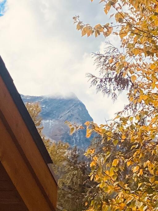 Ski-In Chalet: Private Hot tub, Bonus Bunk House