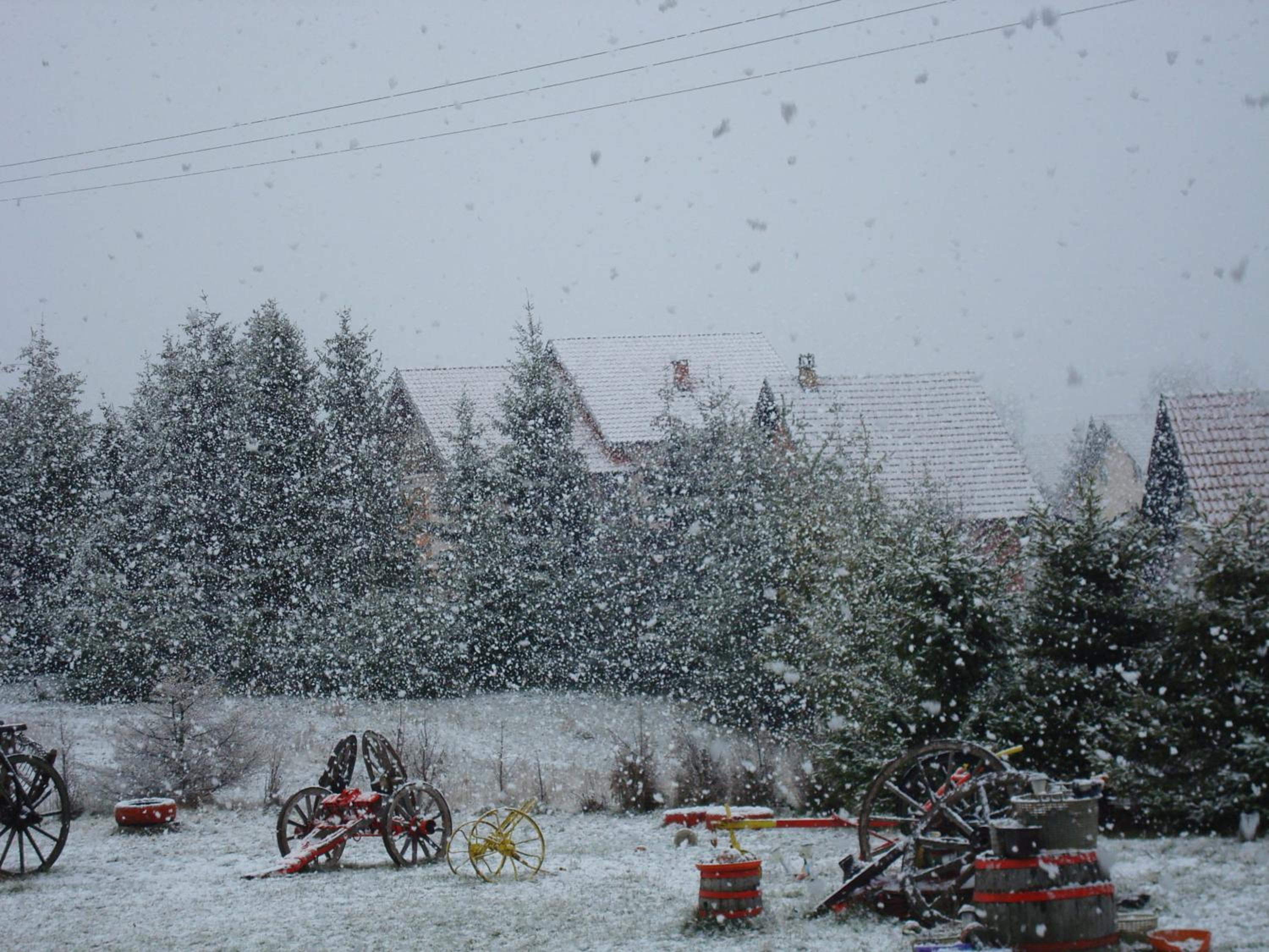 Photo 9