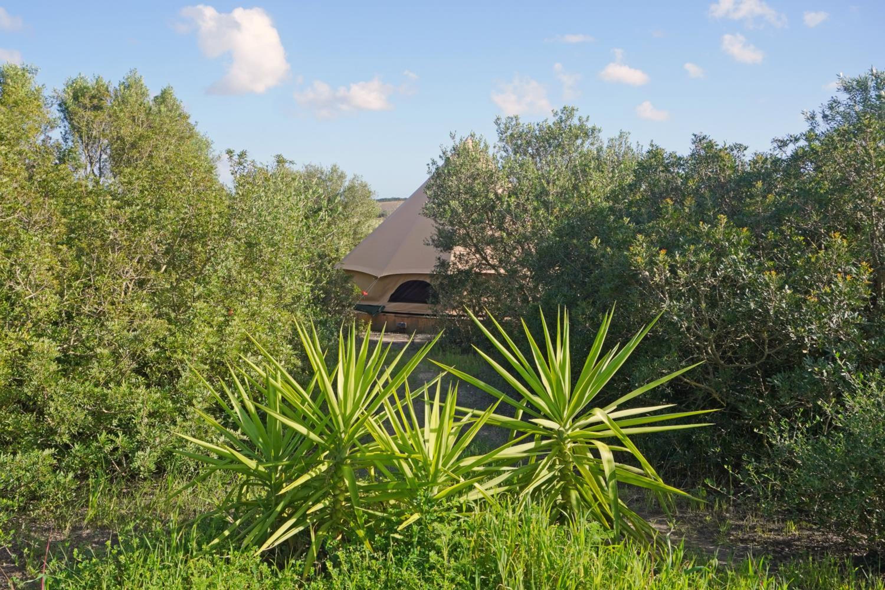 Tranquilo Glamping