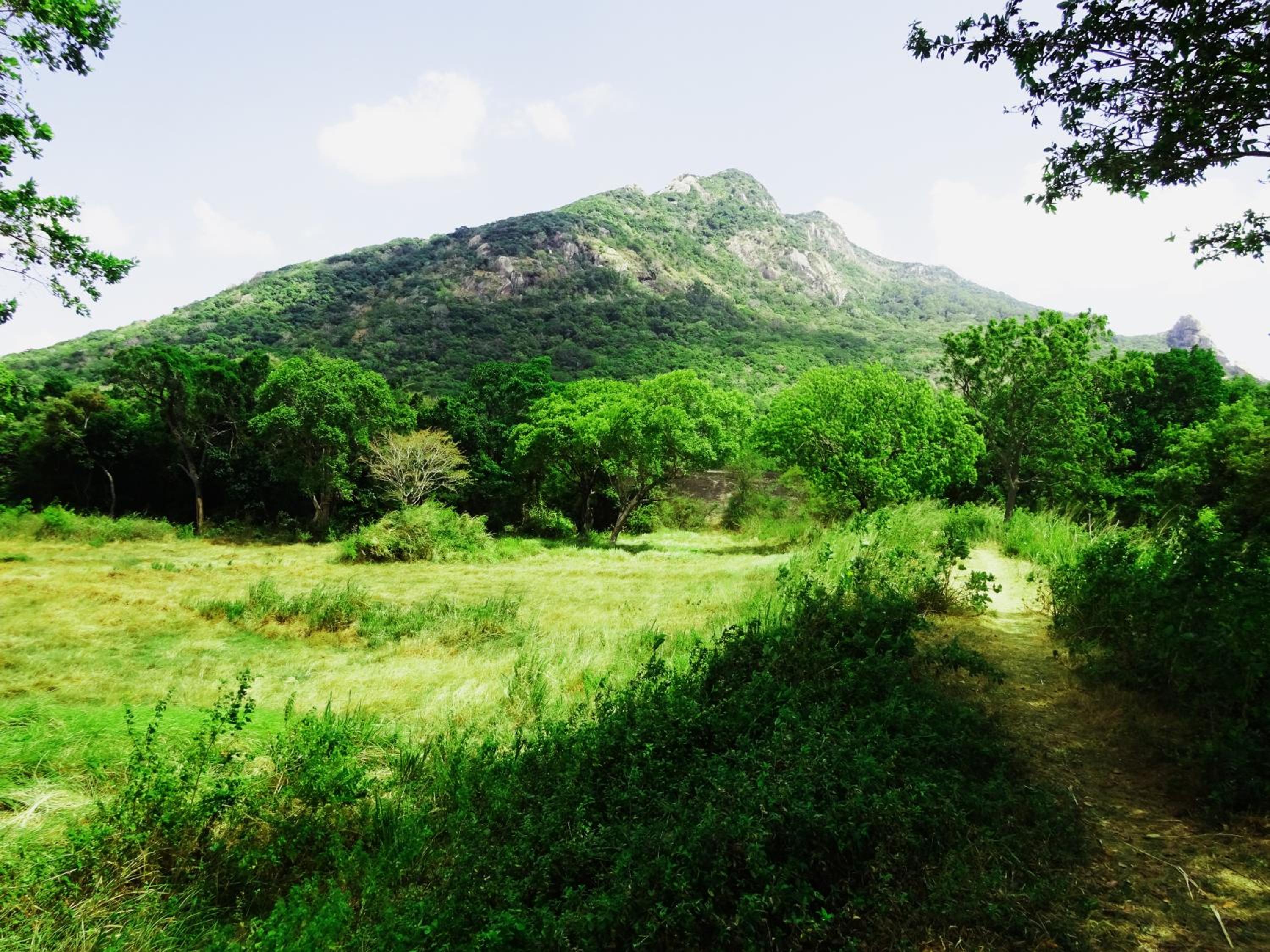 Ritigalafoothills