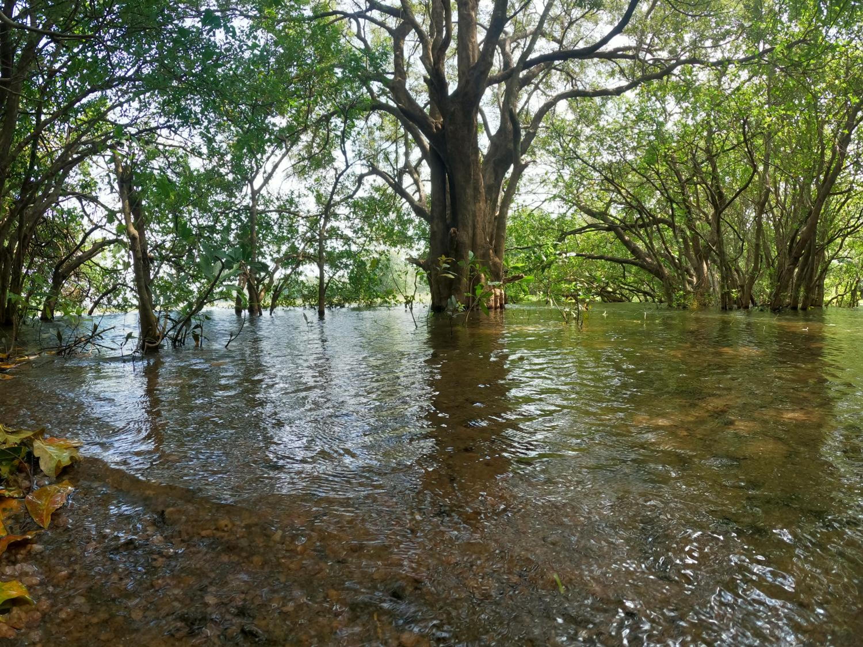 Ritigalafoothills