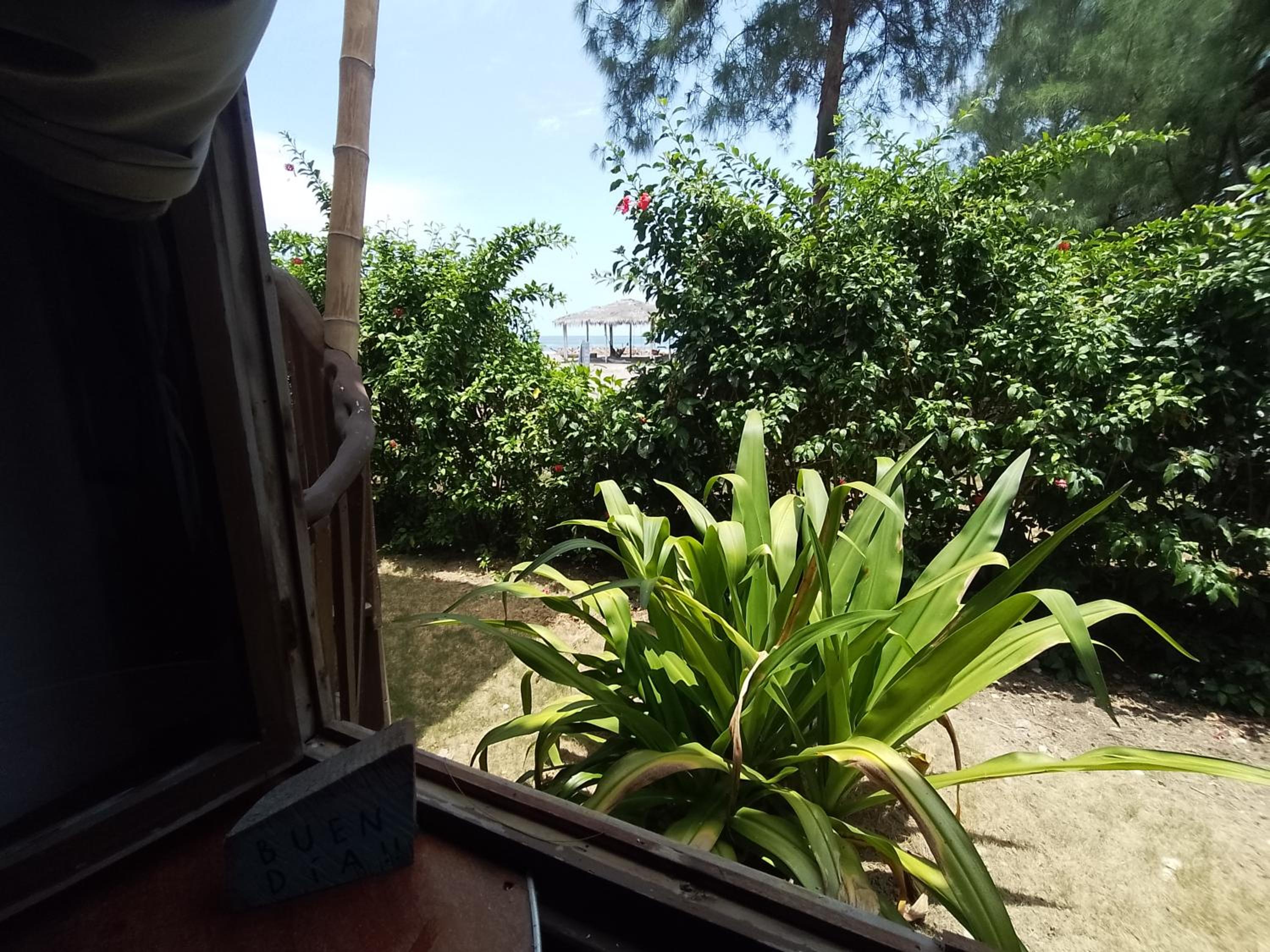 Hotel Palma Coco