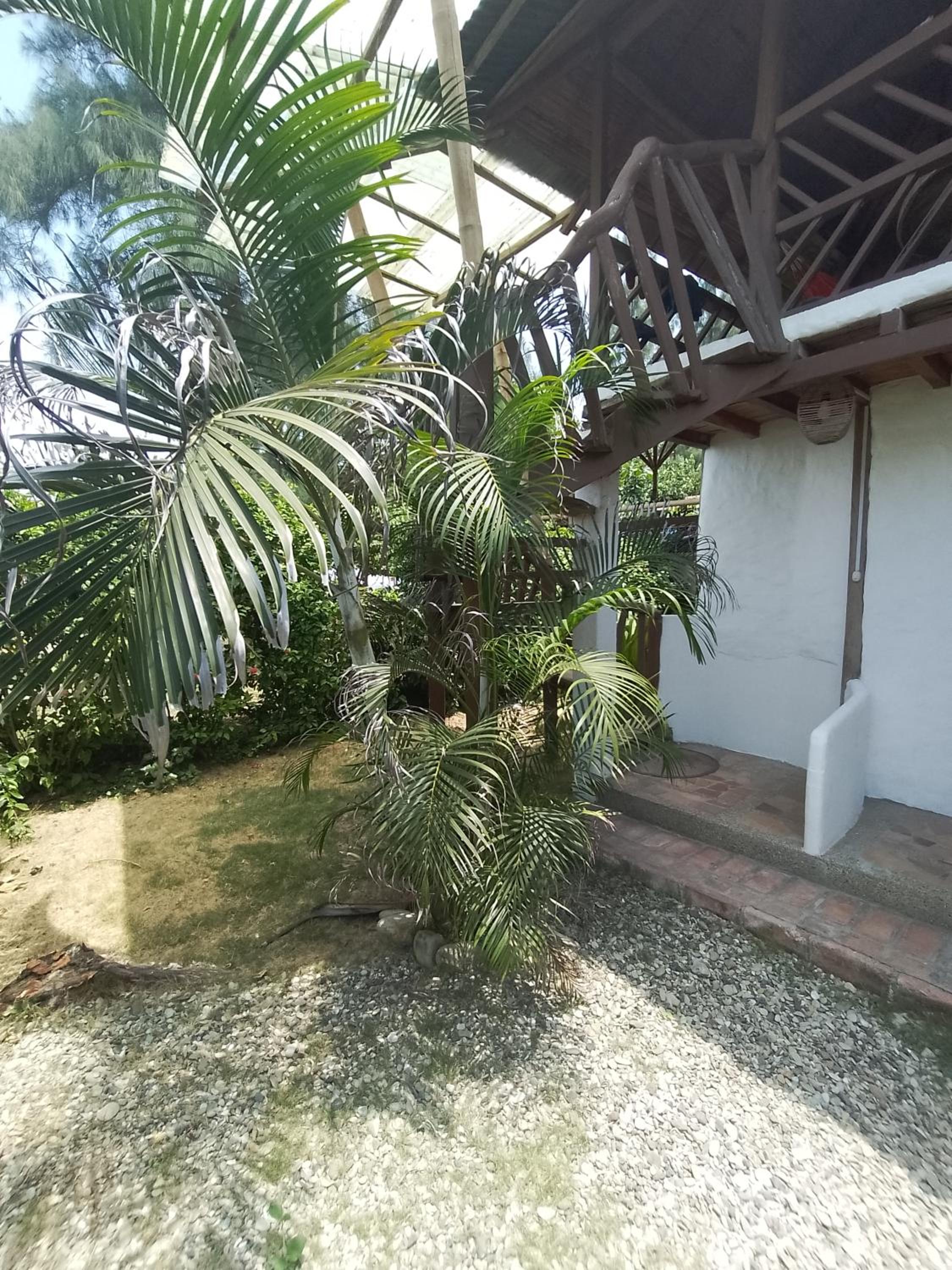 Hotel Palma Coco