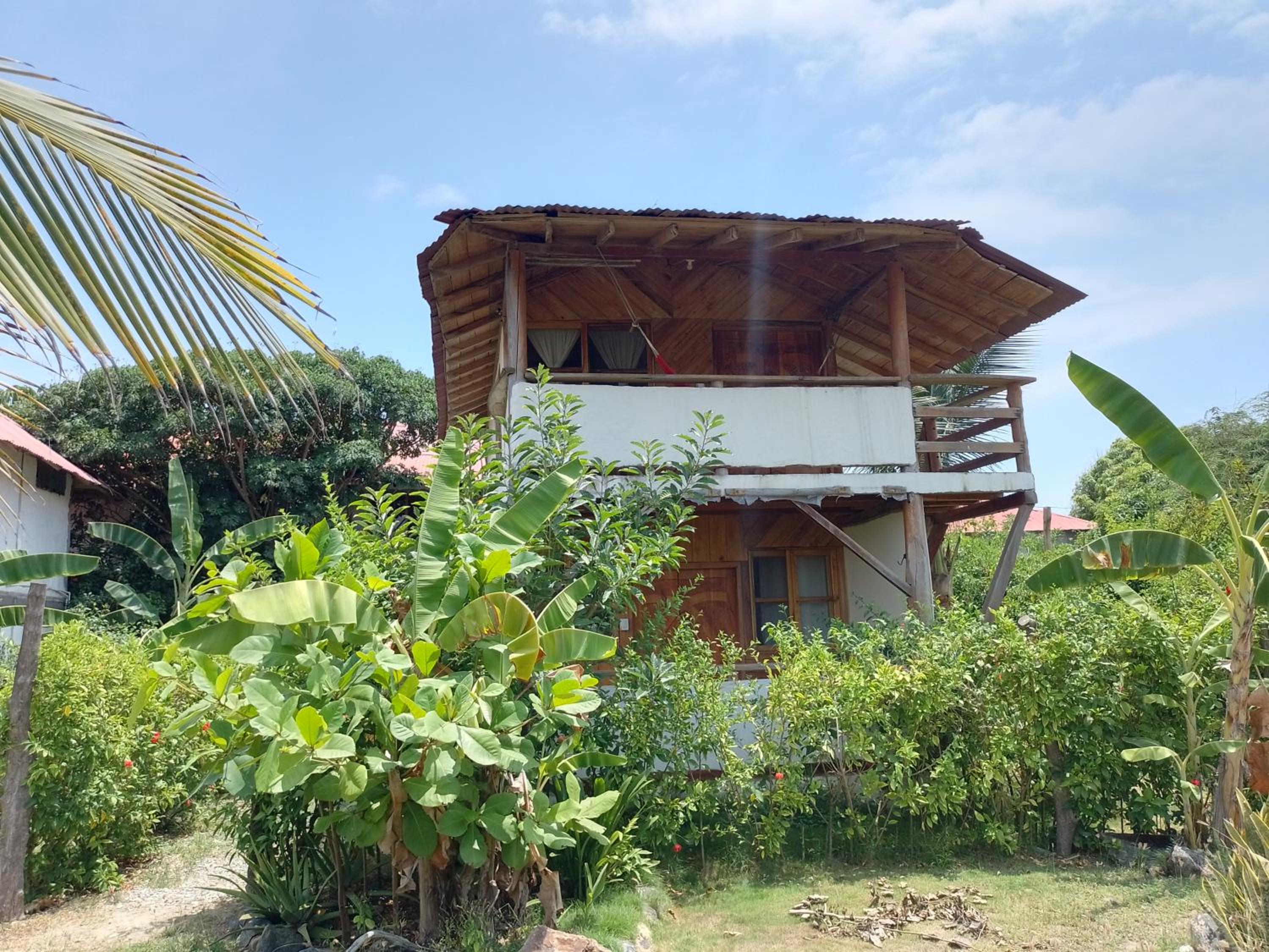 Hotel Palma Coco