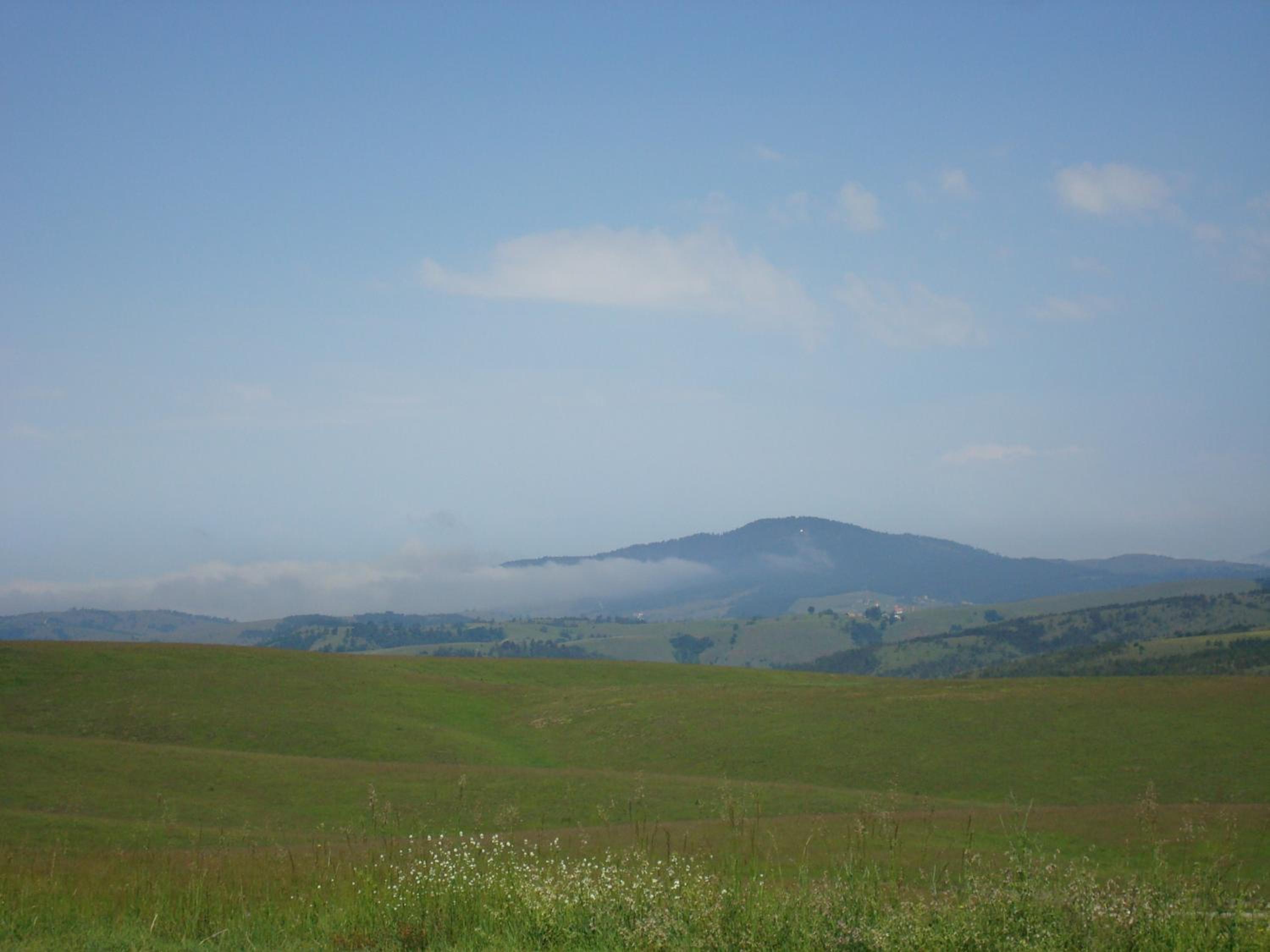 Photo 52