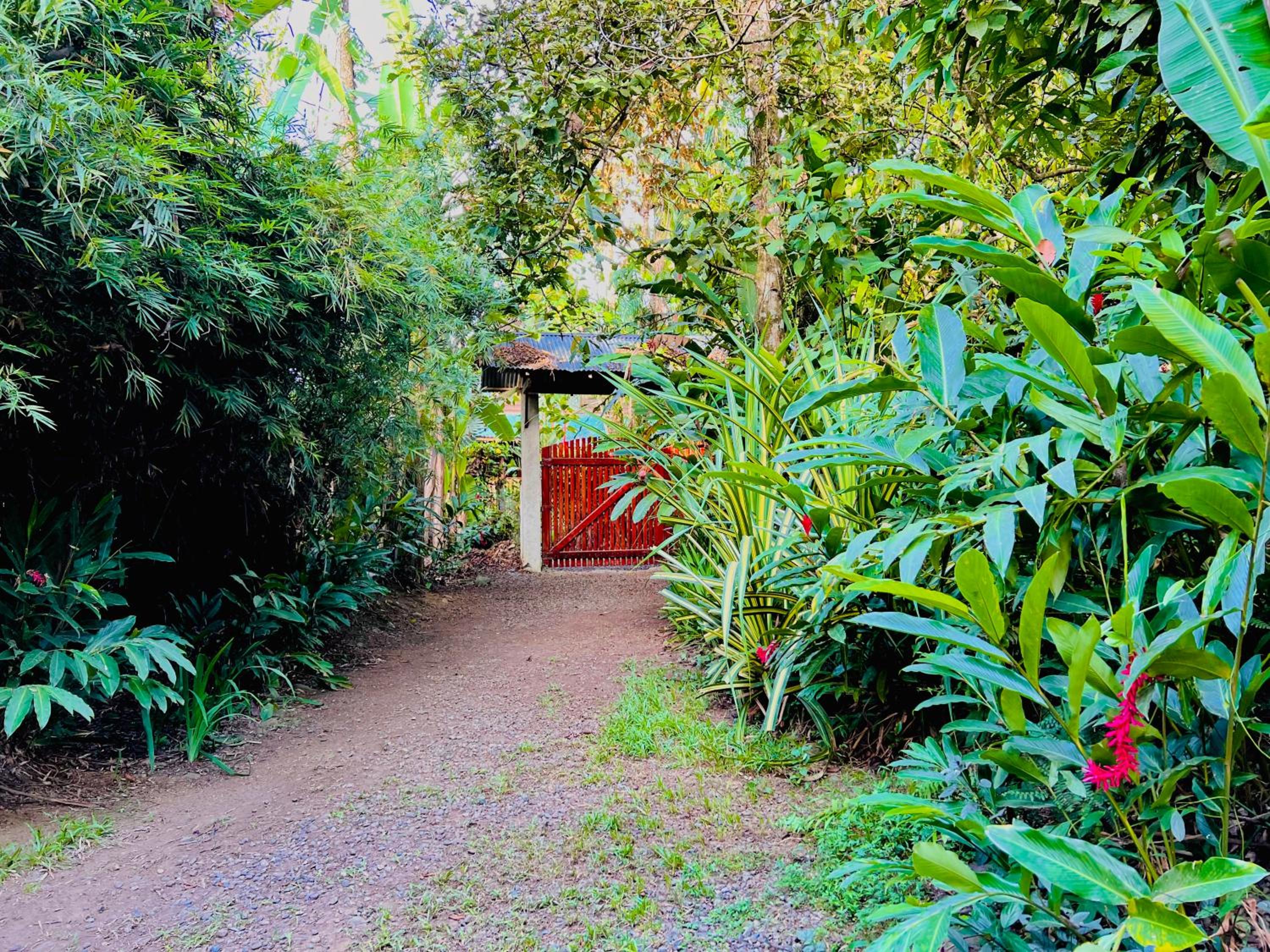 Villa Elita Cocles Jacuzzi&Pool