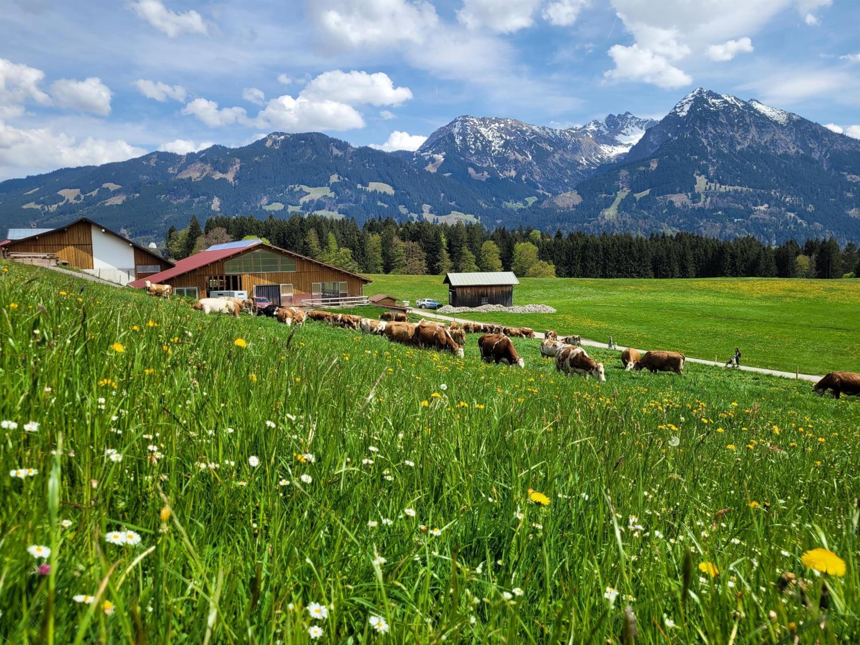Naturgut Allgäu