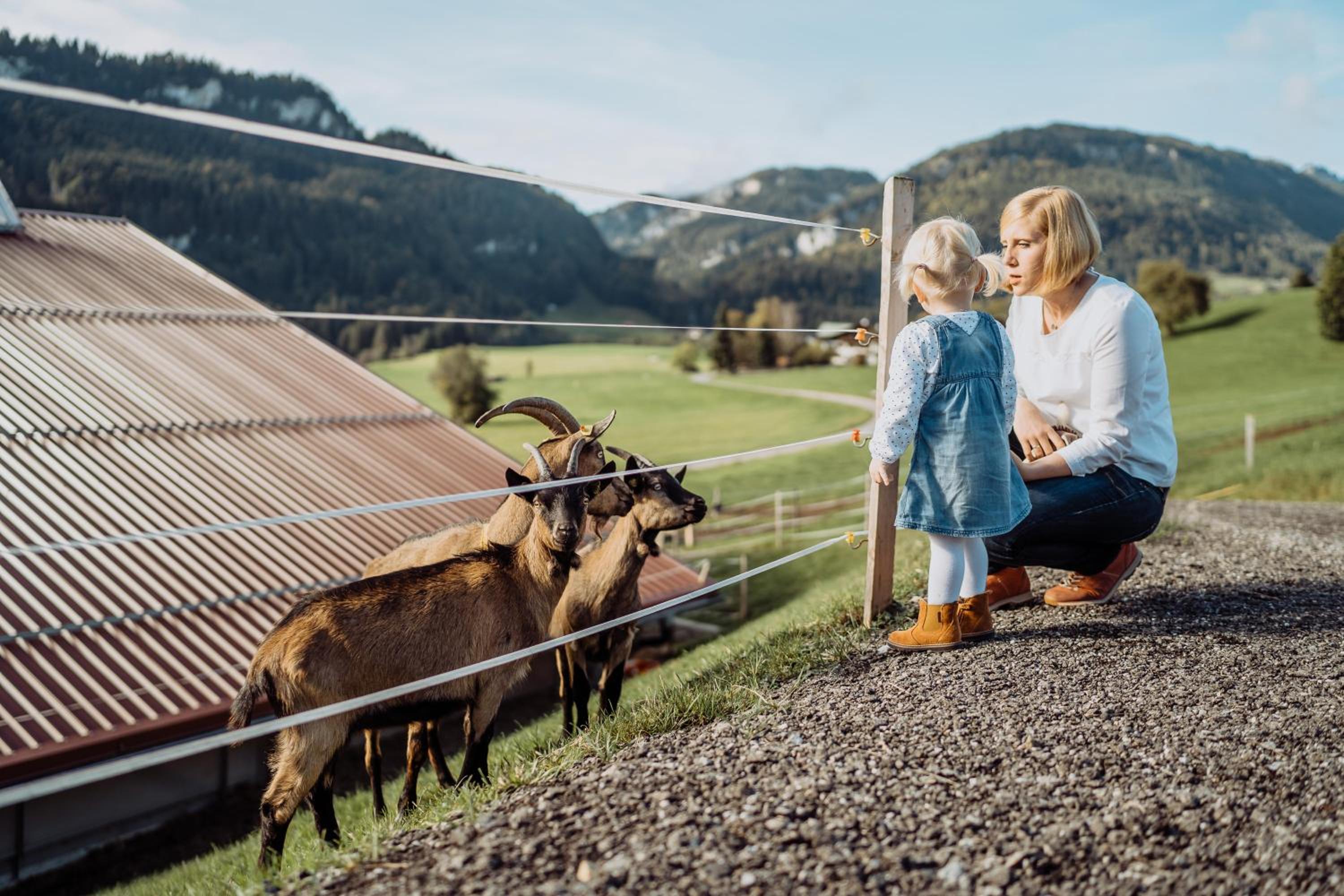 Naturgut Allgäu