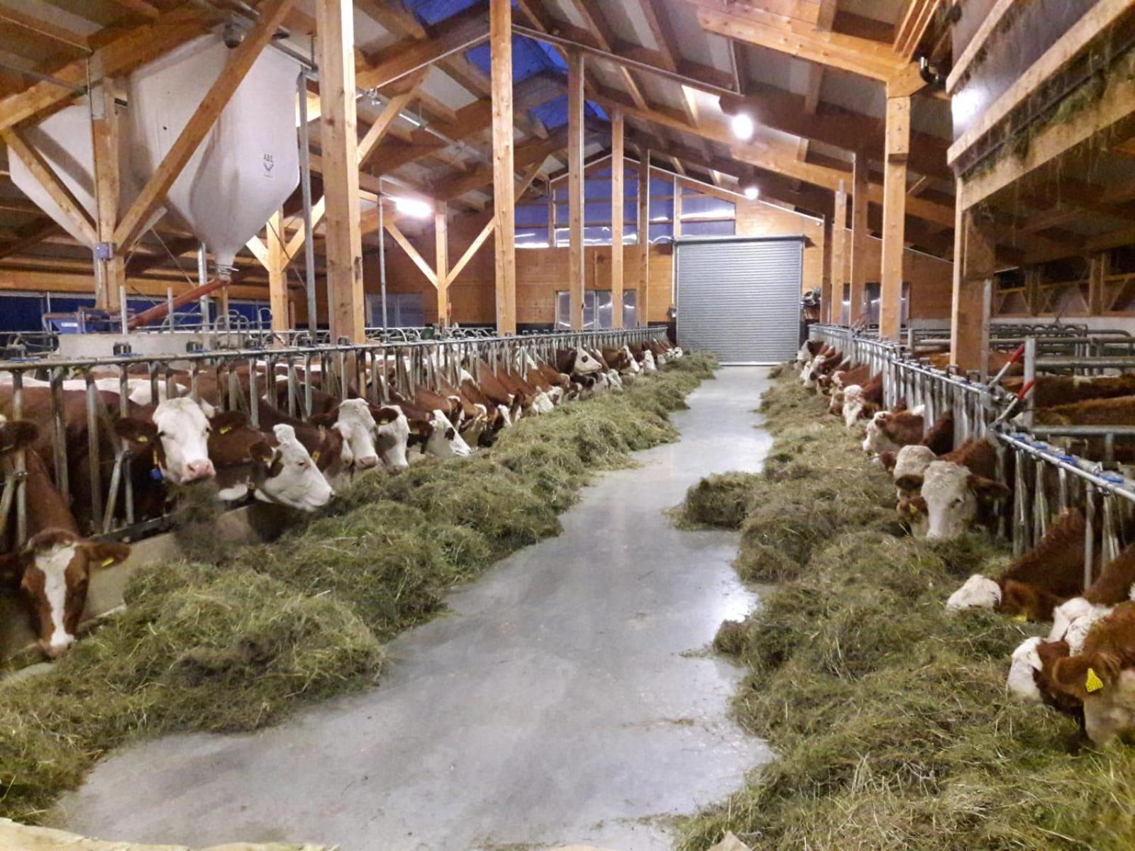 Naturgut Allgäu