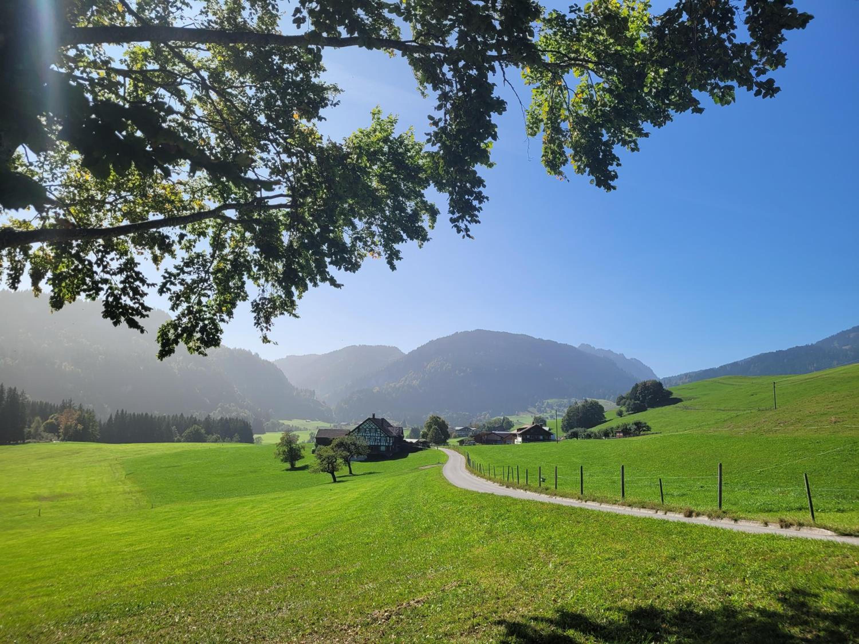 Naturgut Allgäu
