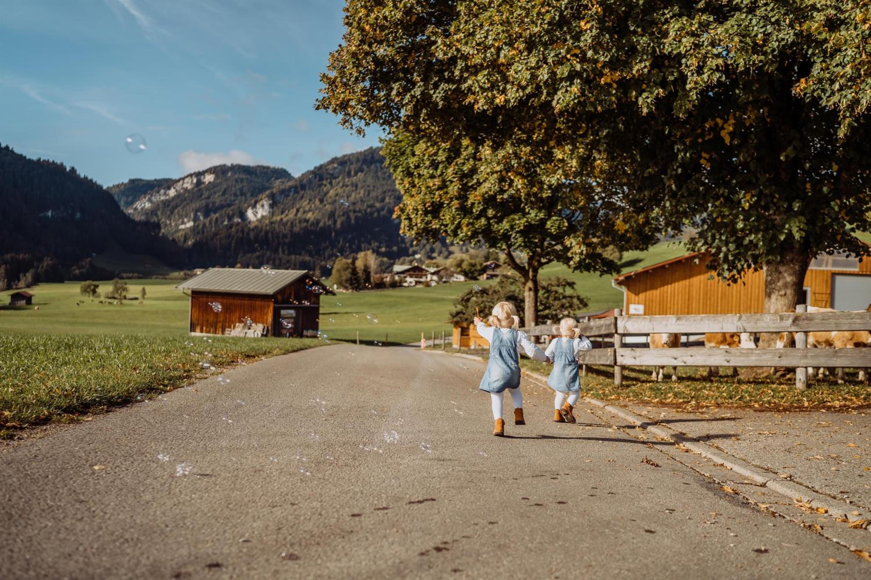 Naturgut Allgäu