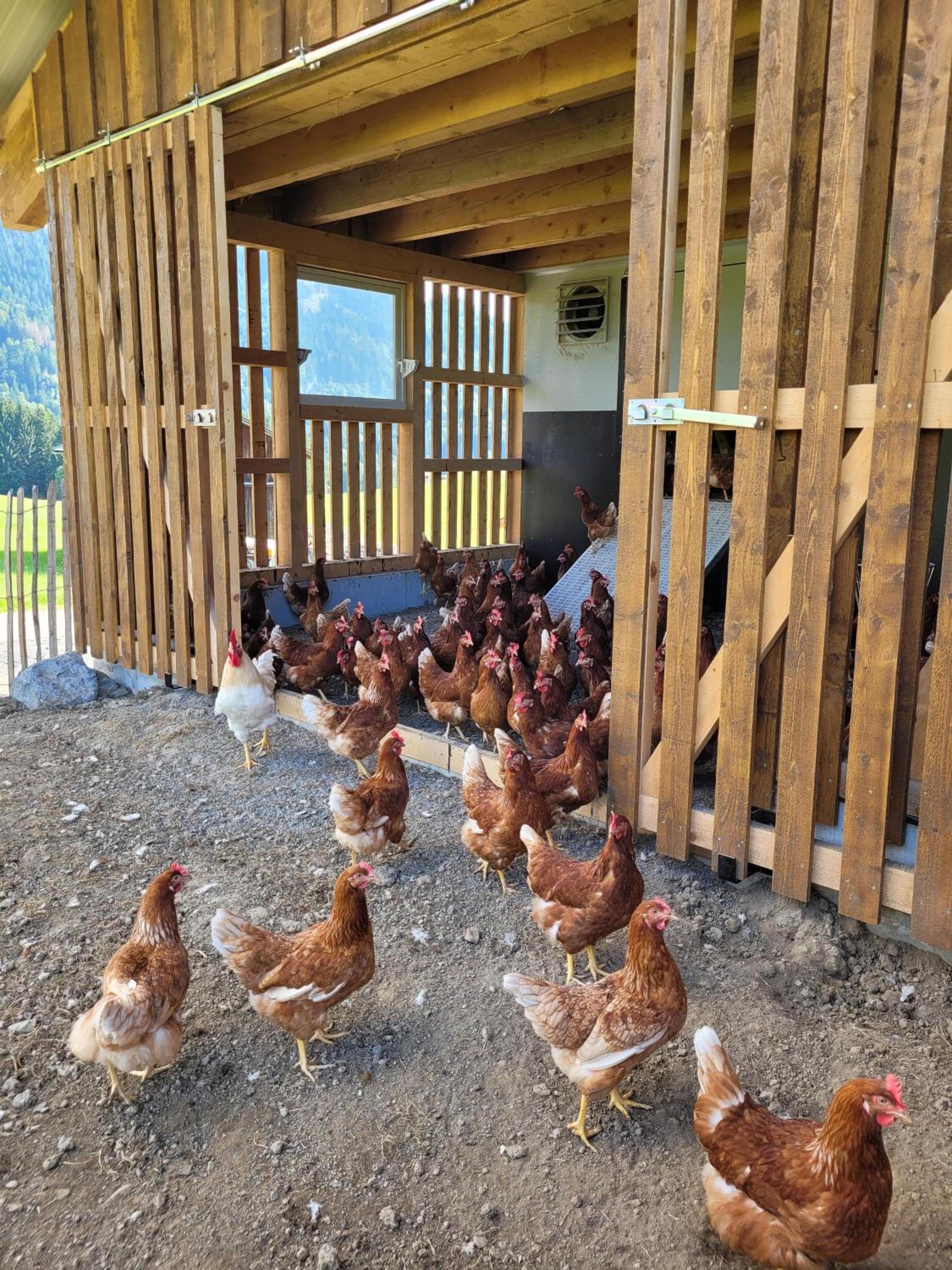 Naturgut Allgäu