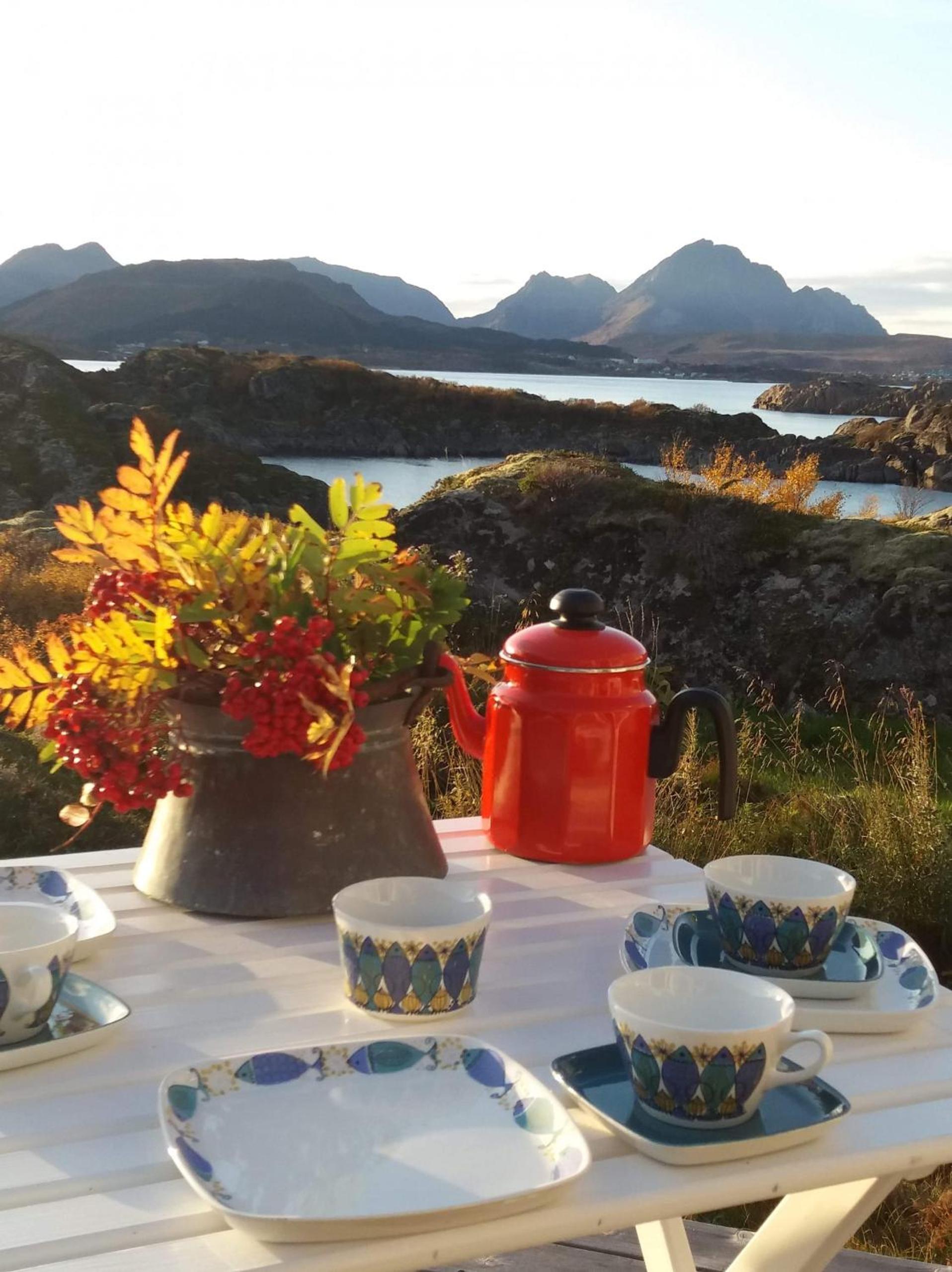 Unique private cabin in Lofoten