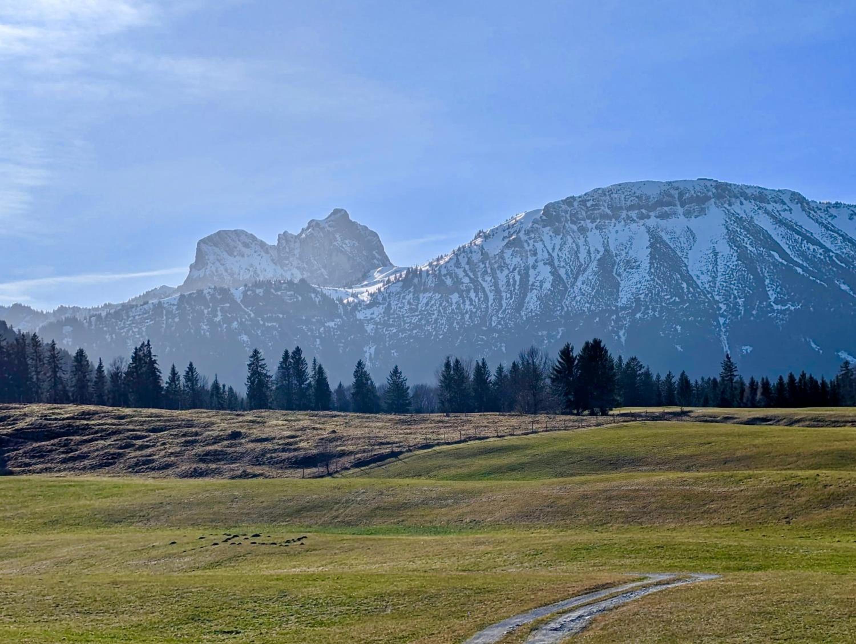 Bergluftsuite am Breitenberg