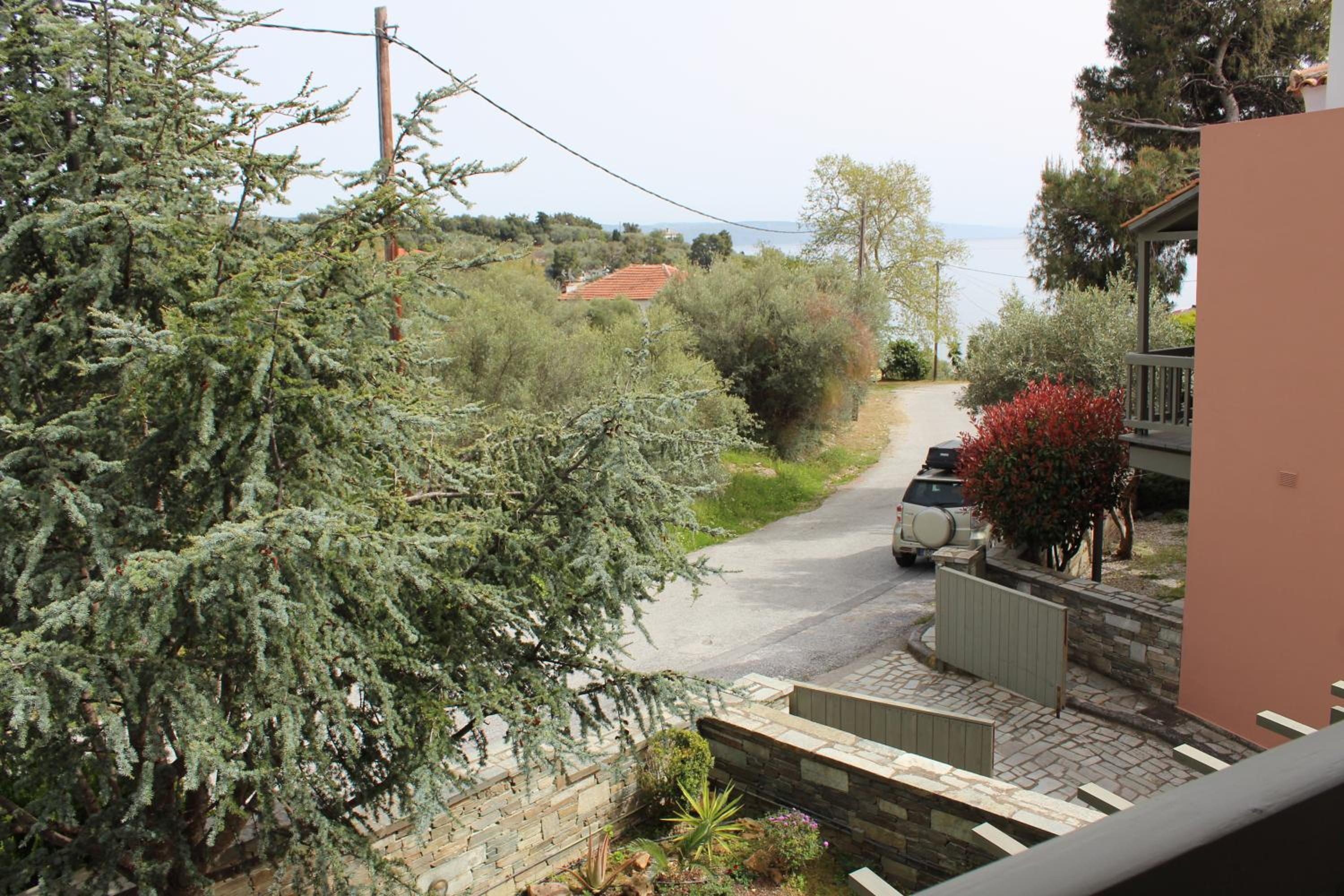 Photo 29