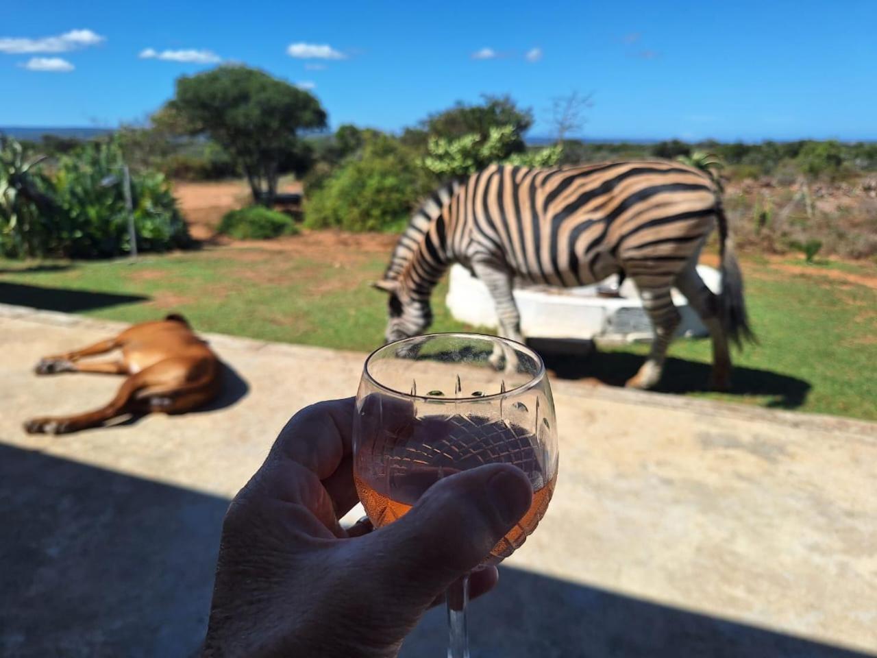 Kudu Ridge Game Lodge