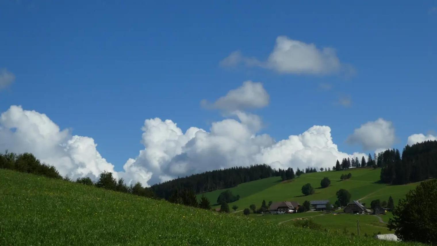 Haldenmichelhof Ferienwohnungen