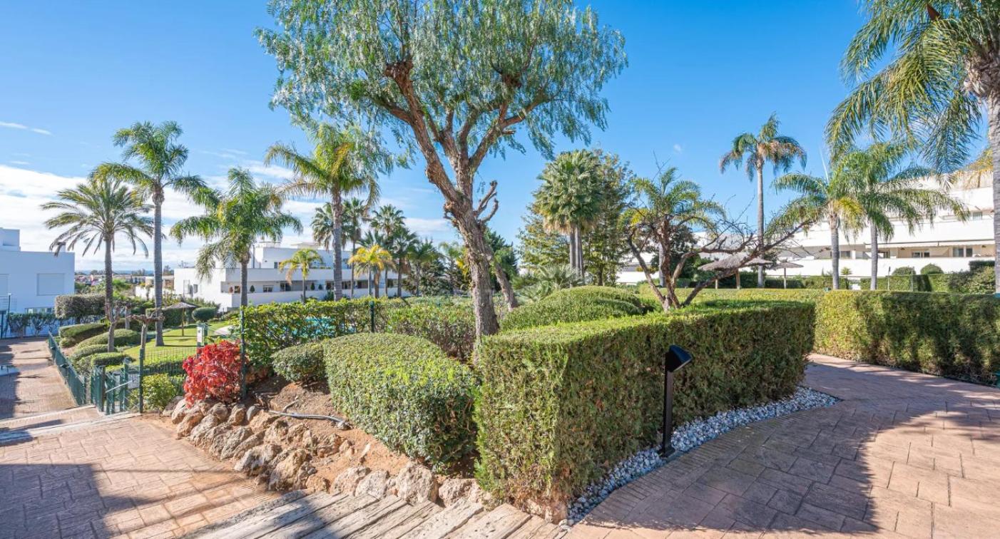 Great apartment near Banus