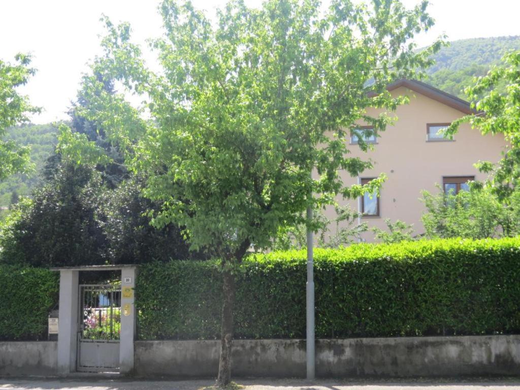 Photo 52