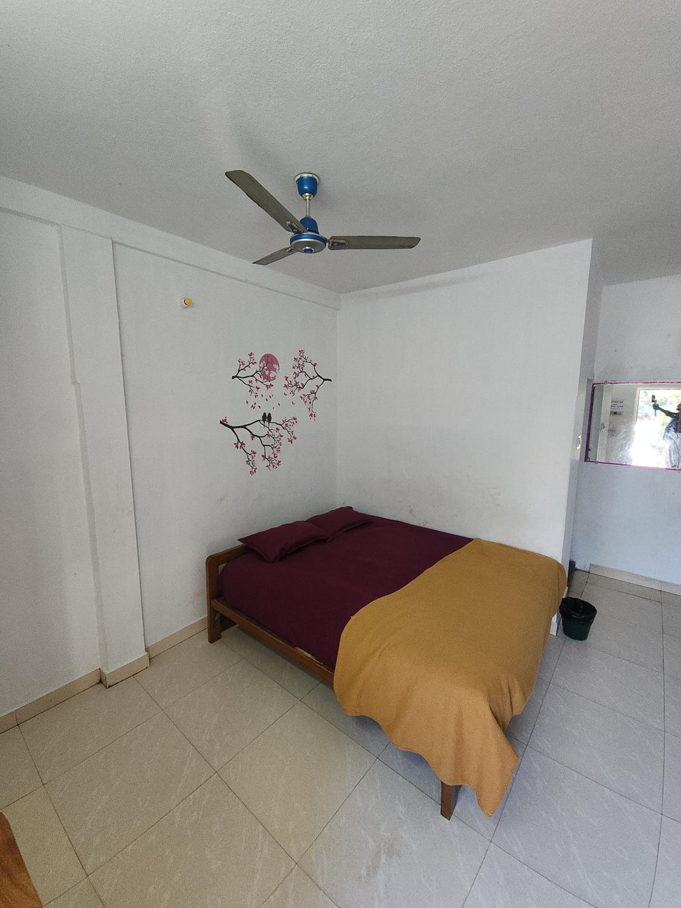 Photo 27