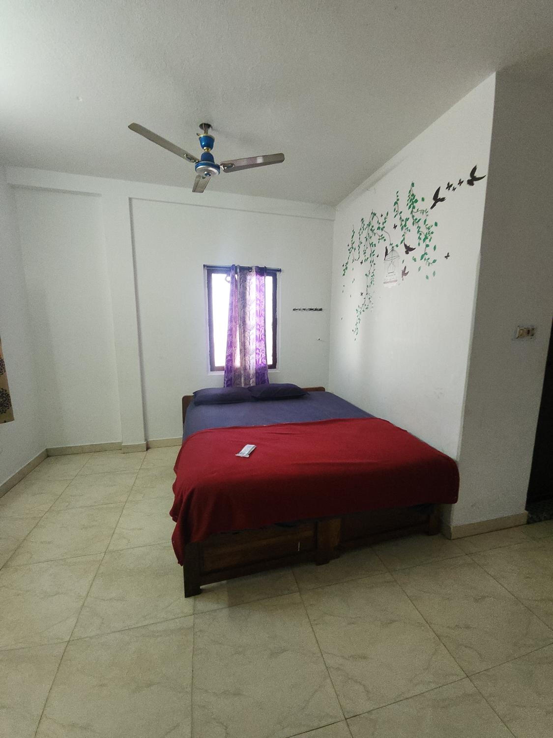 Photo 38