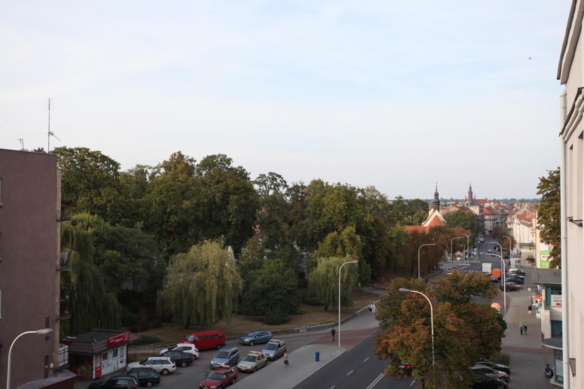 Photo 33